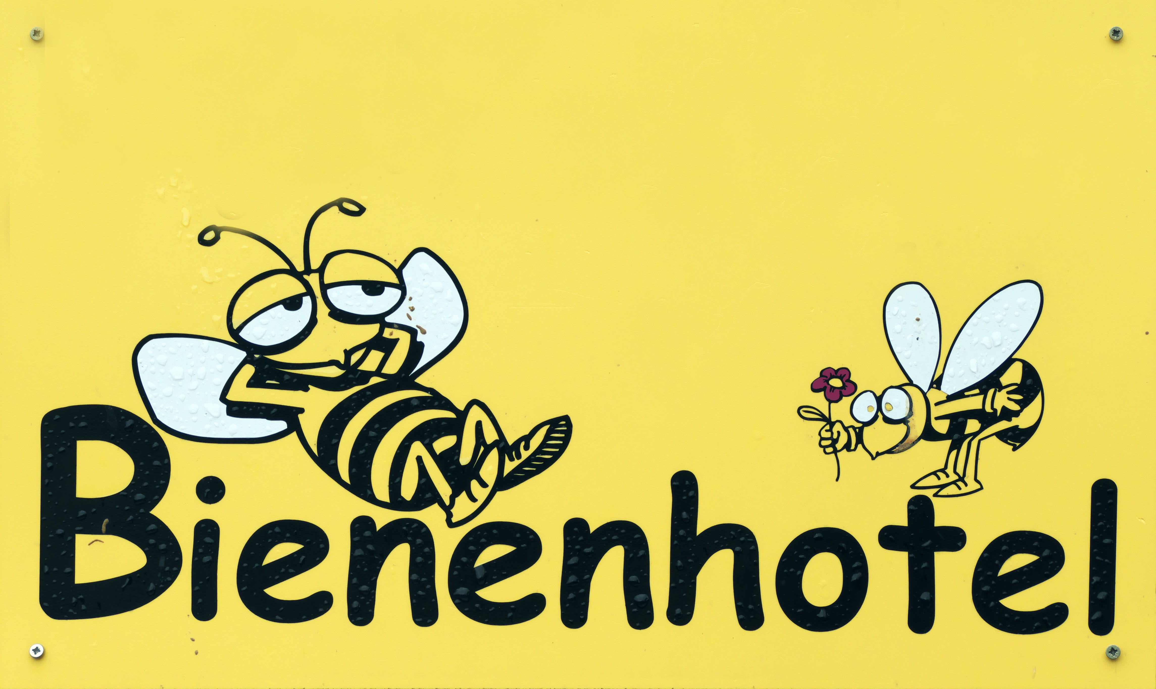 text, nature, no people, paper, creativity, art and craft, drawing - art product, mural, communication, drawing - activity, graphic, bees, yellow, embassy, HD Wallpaper