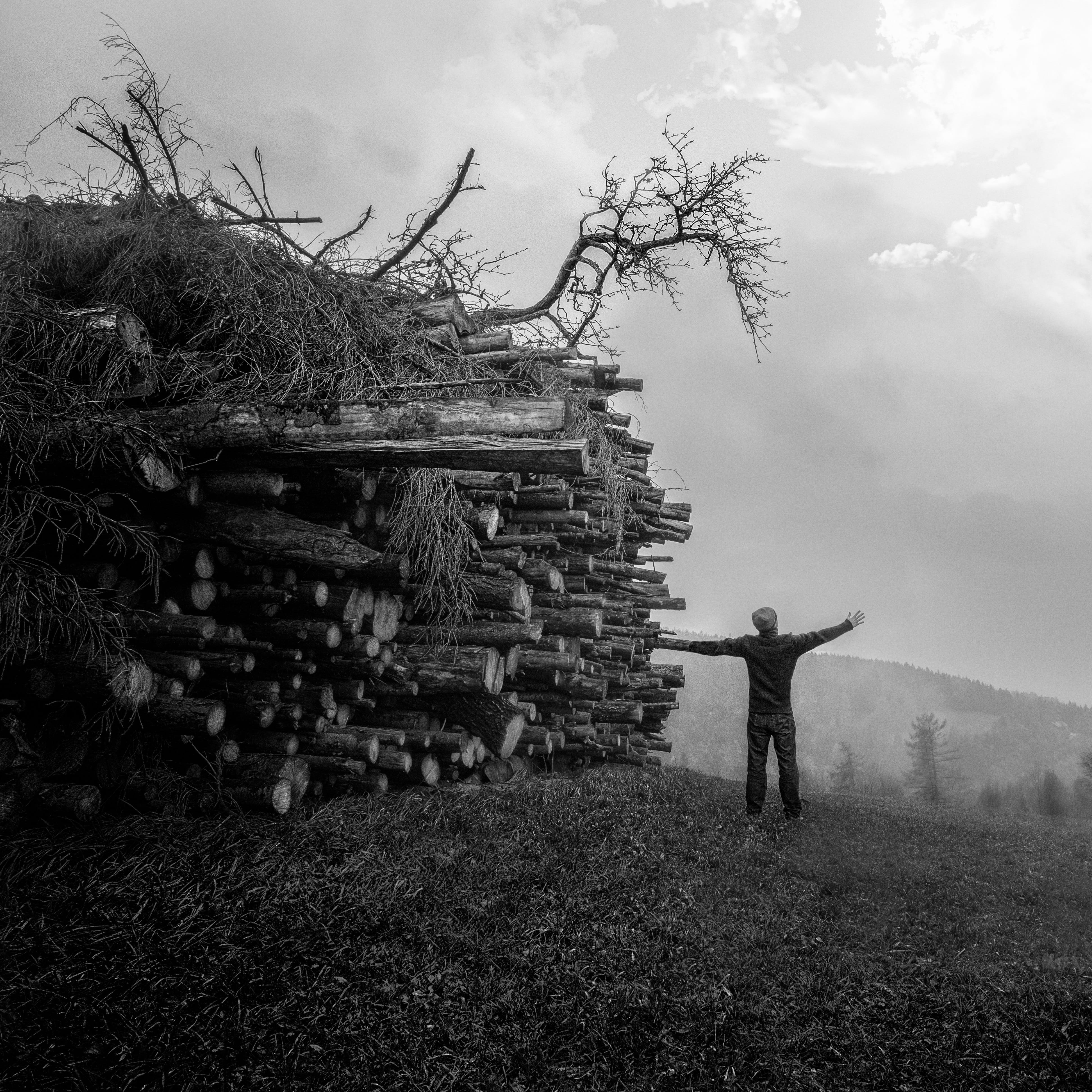 forward, landscape, day, plant, embassy, standing, human arm, field, environmental protection, tree, awareness, lifestyles, nature, rural scene, arms raised, Phone HD Wallpaper