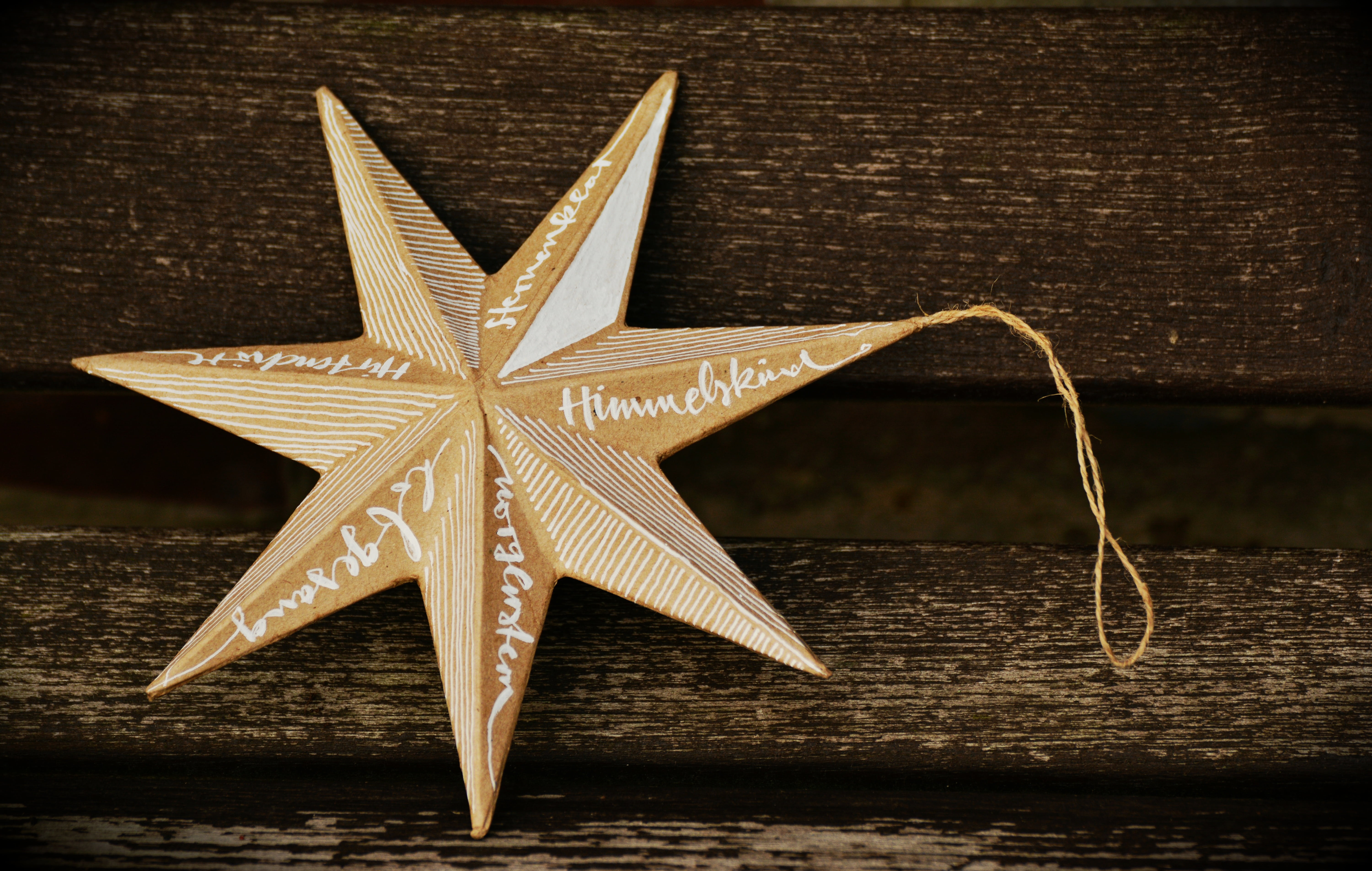 starfish, poinsettia, wood - material, advent, table, christmas time, food and drink, hanging, christmas, indoors, single object, no people, holiday, star shape, HD Wallpaper
