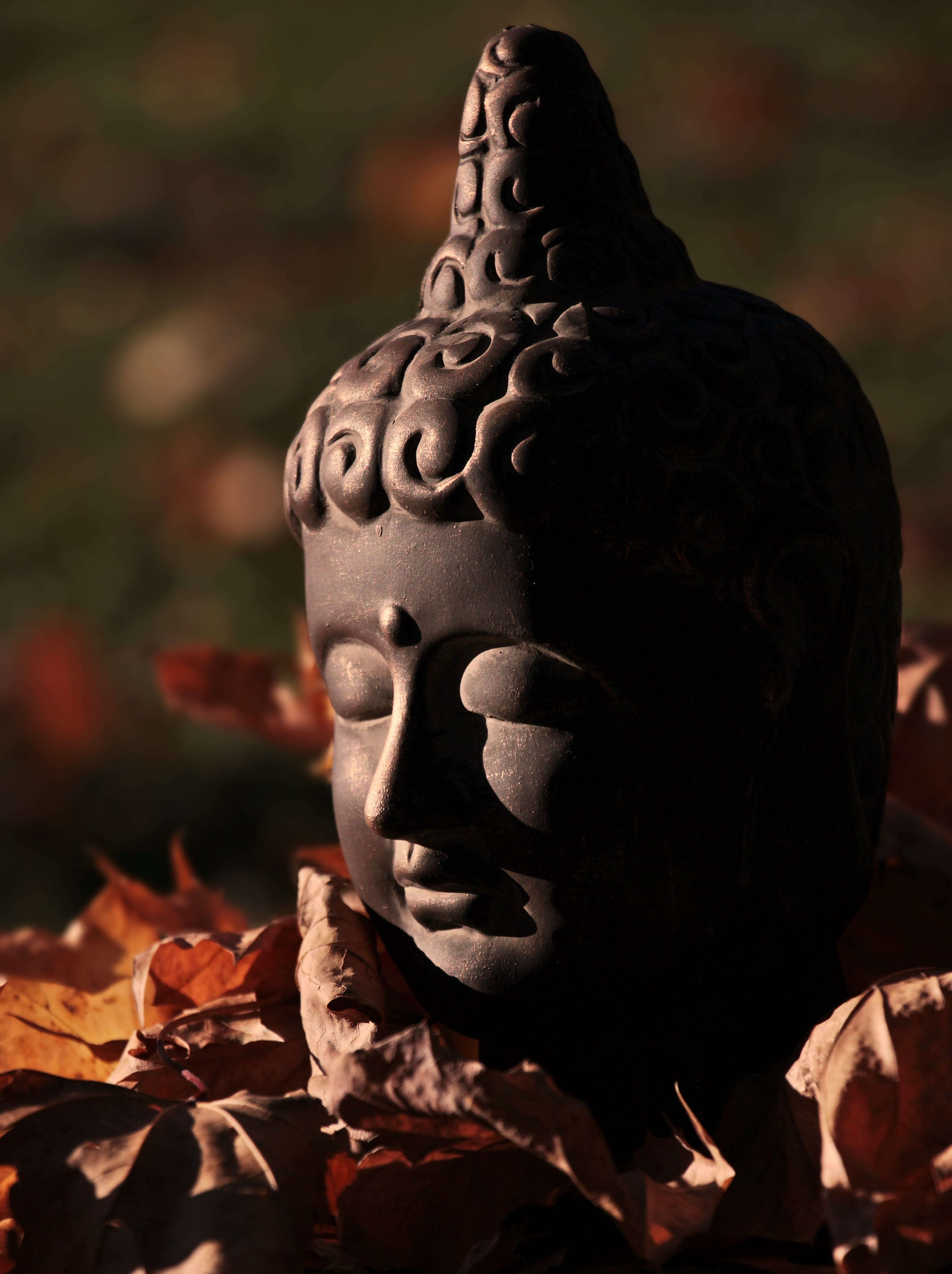 light, nature, focus on foreground, decoration, sculpture, outdoors, purity, spirituality, art and craft, leaf, meditation, creative, culture, 5K, close-up, Phone HD Wallpaper