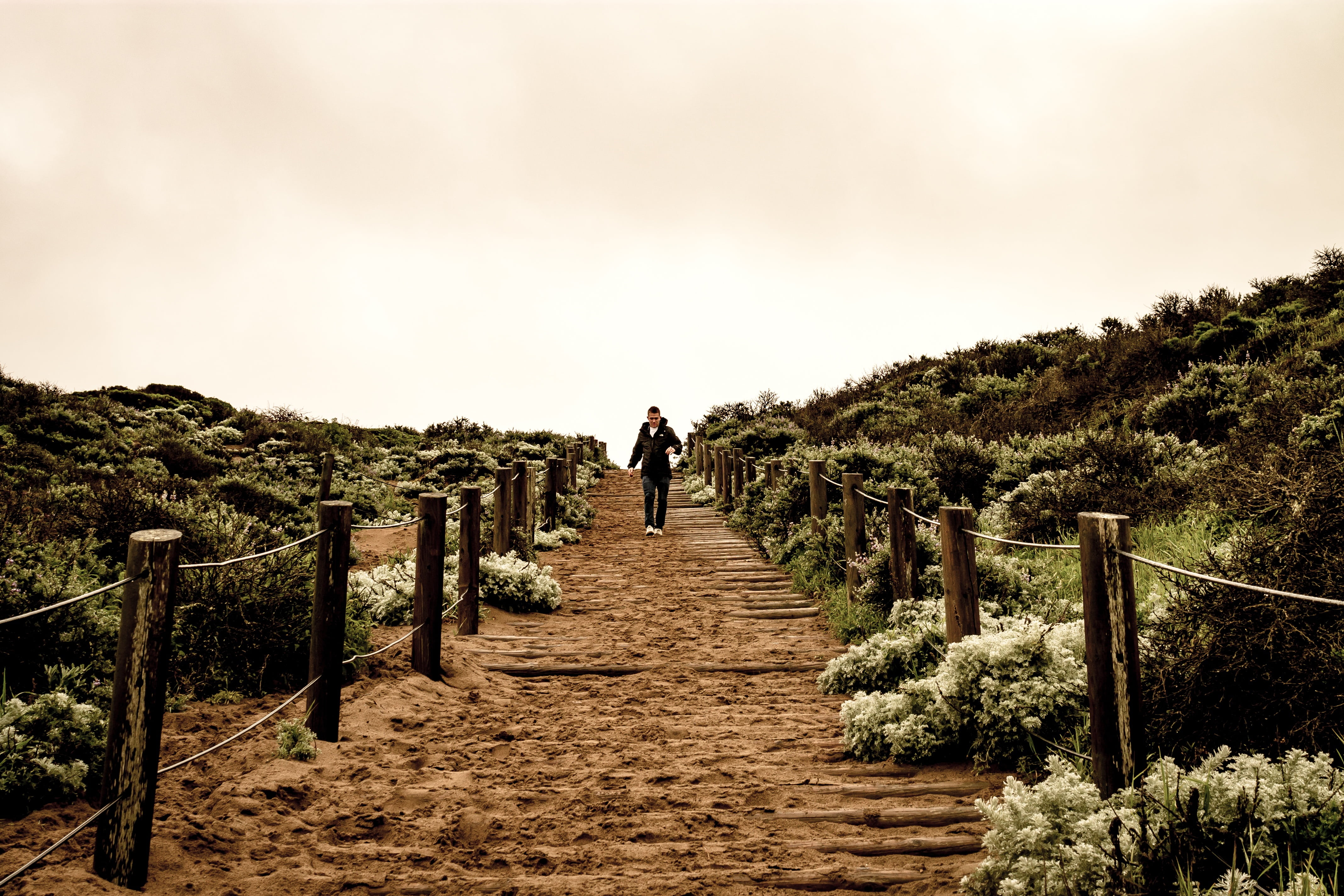 adult, steps and staircases, highland, on the move, daytime, stairs, plant, shirt, one man only, rear view, leisure activity, lifestyles, railing, outdoors, HD Wallpaper