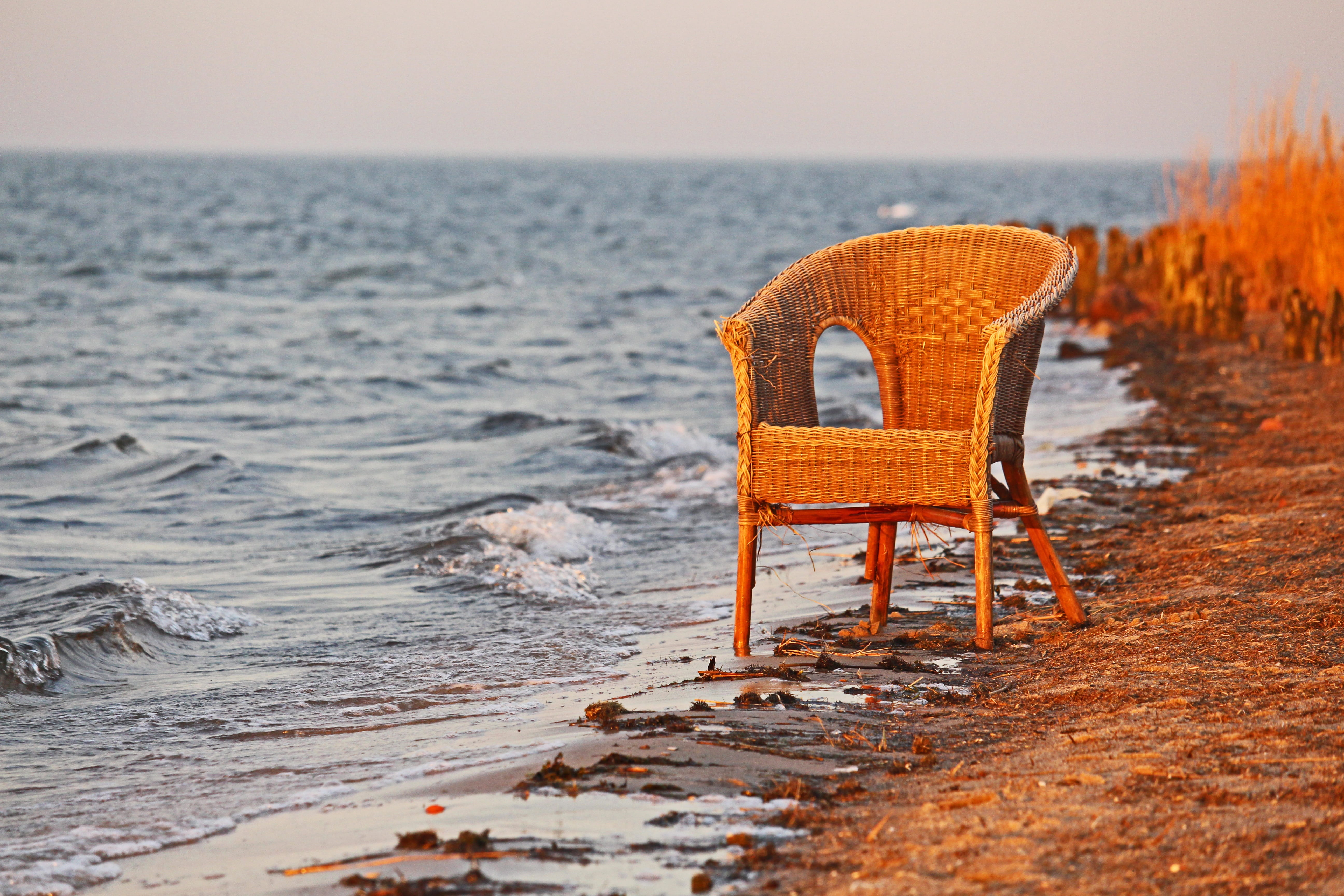 land, outdoors, no people, abandoned, sea, zen, evening, relaxation, reed, evening sun, absence, riems, water, beauty in nature, meditate, beach, tranquility, HD Wallpaper