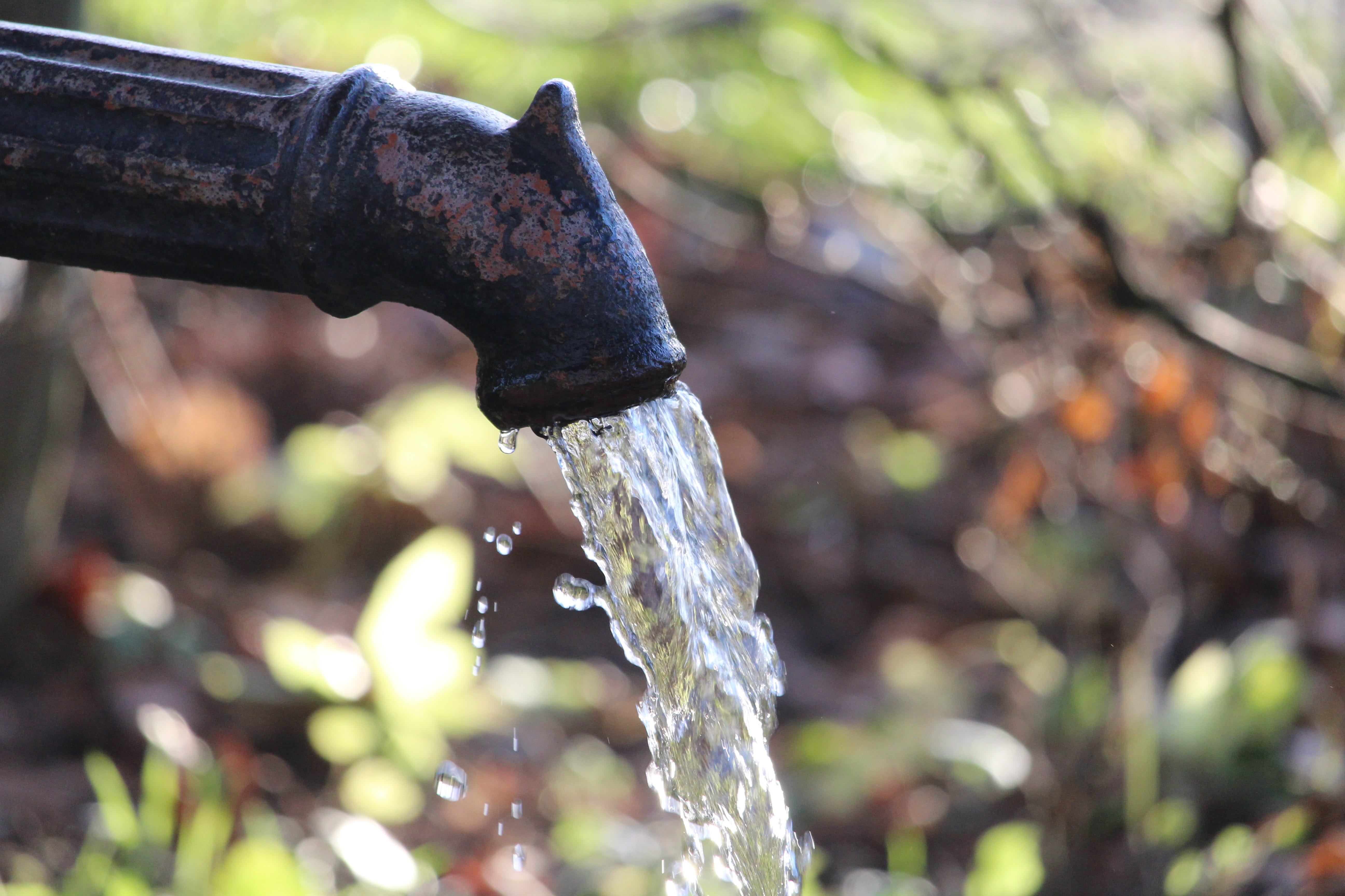 flowing water, close-up, focus on foreground, rhön, purity, faucet, water, day, wet, pipe - tube, nature, flow, drop, plant, motion, 5K, no people, outdoors, HD Wallpaper