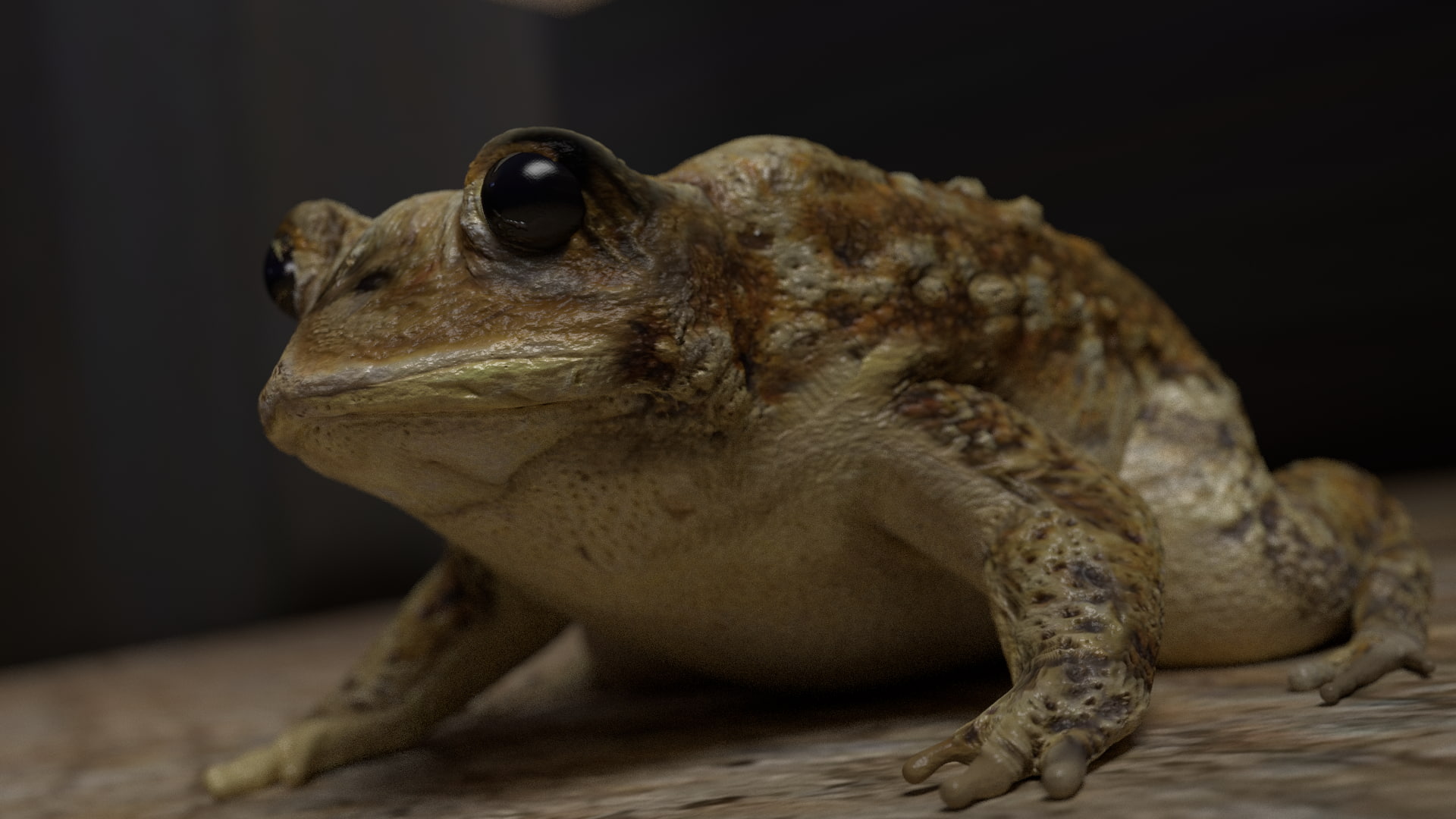 frog, 1080P, amphibian, CGI, HD Wallpaper