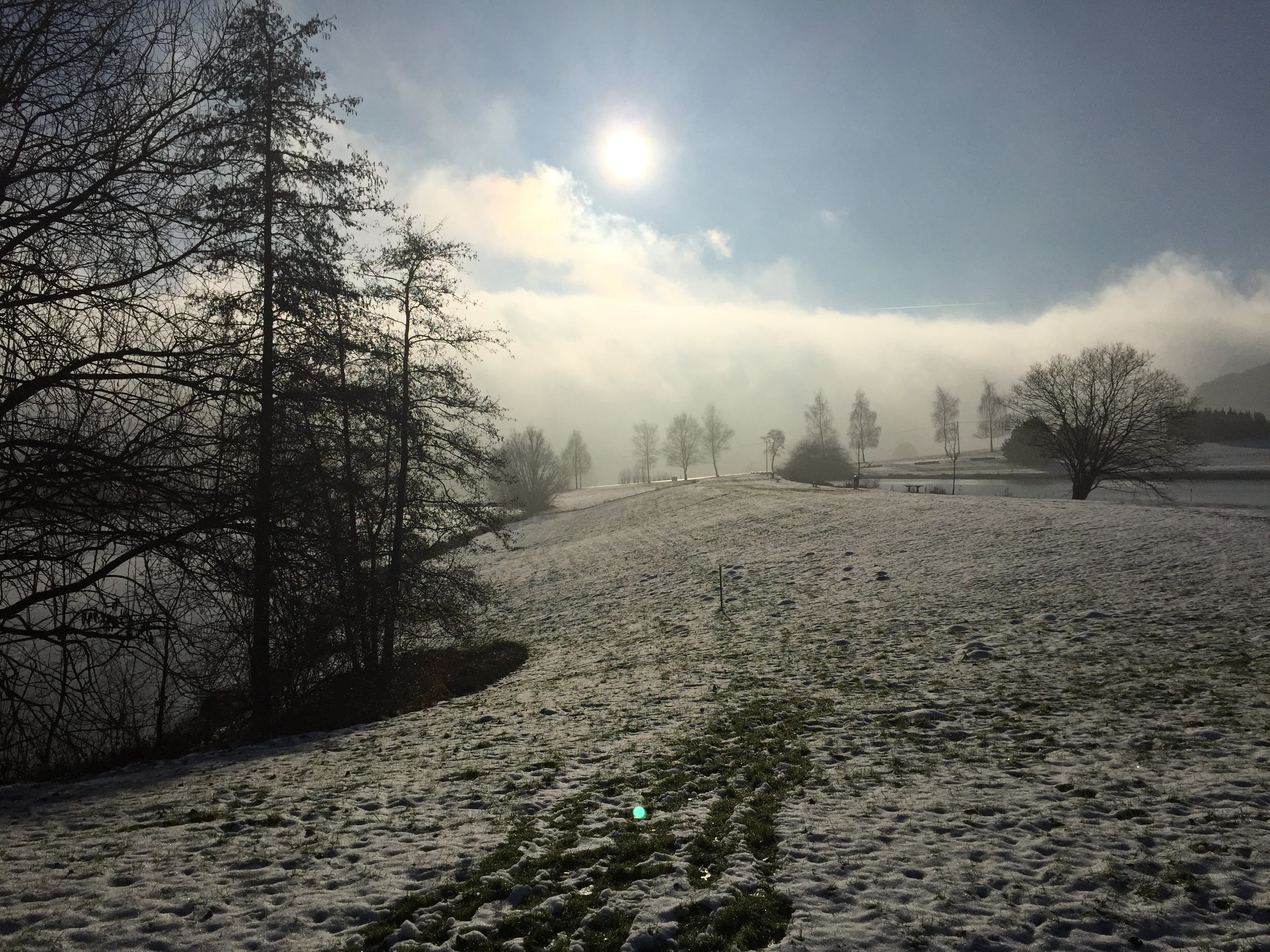 forest, land, plant, no people, 2K, scenics - nature, beauty in nature, snowy, fog, winter, germany, weather, landscape, tranquil scene, rhön, cold temperature, HD Wallpaper