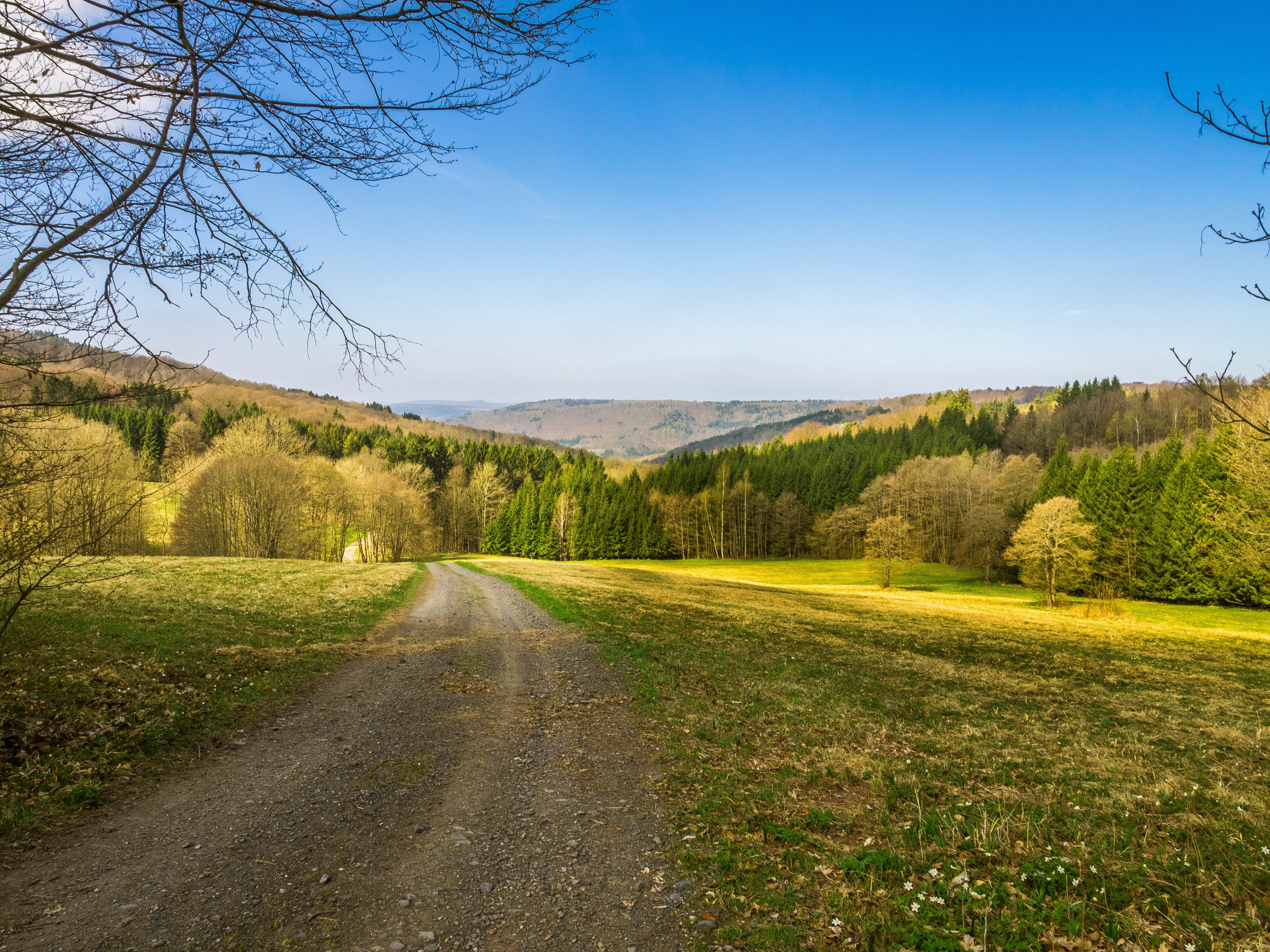 hiking, idyllic, non-urban scene, environment, trees, land, field, the way forward, road, blue, autumn, rhön, direction, beauty in nature, mountains, Spring, HD Wallpaper