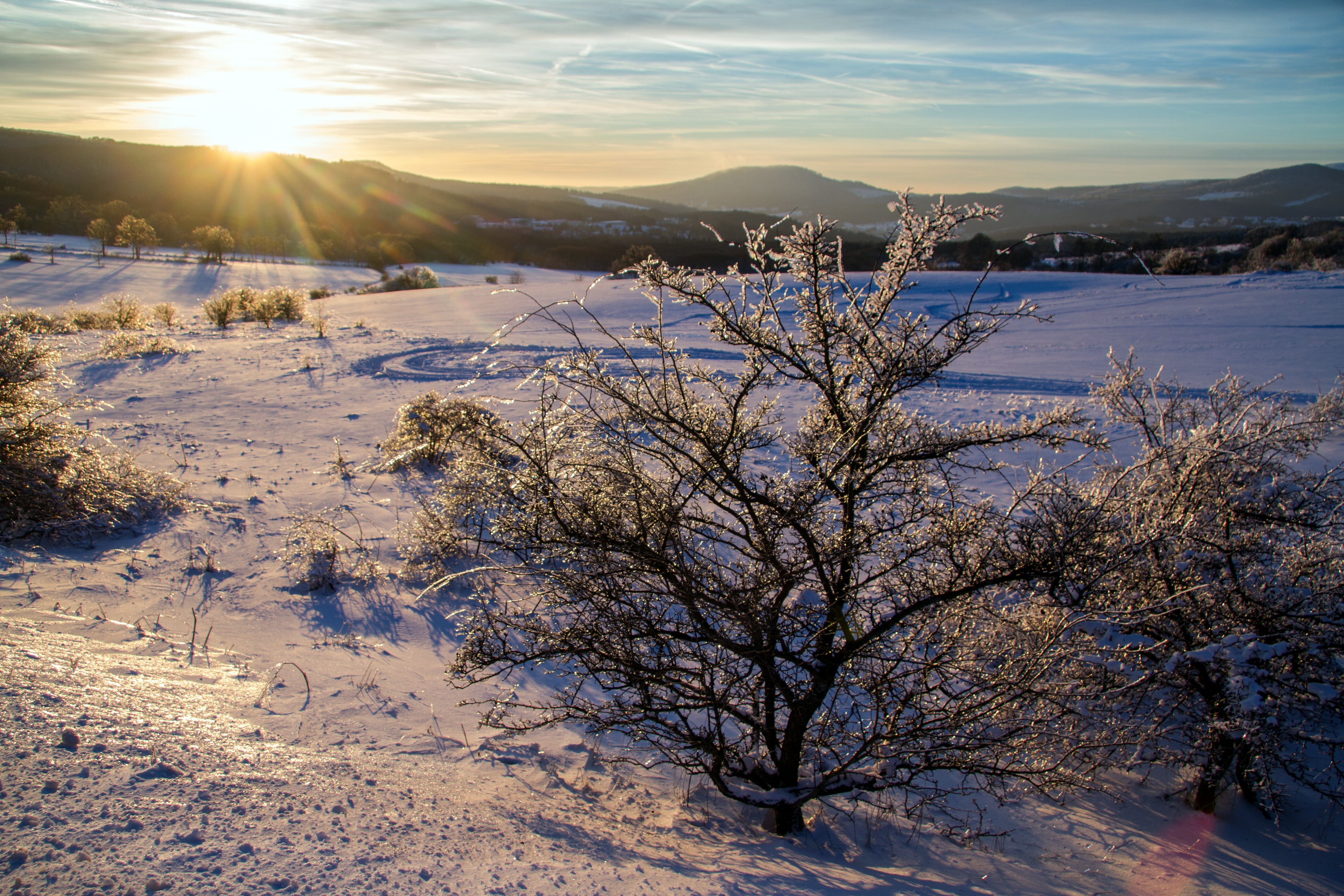 sky, hochrhoen, tree, snow, non-urban scene, evening sun, rhön winter, sunlight, bright, sun, snowcapped mountain, mountain, no people, beauty in nature, HD Wallpaper