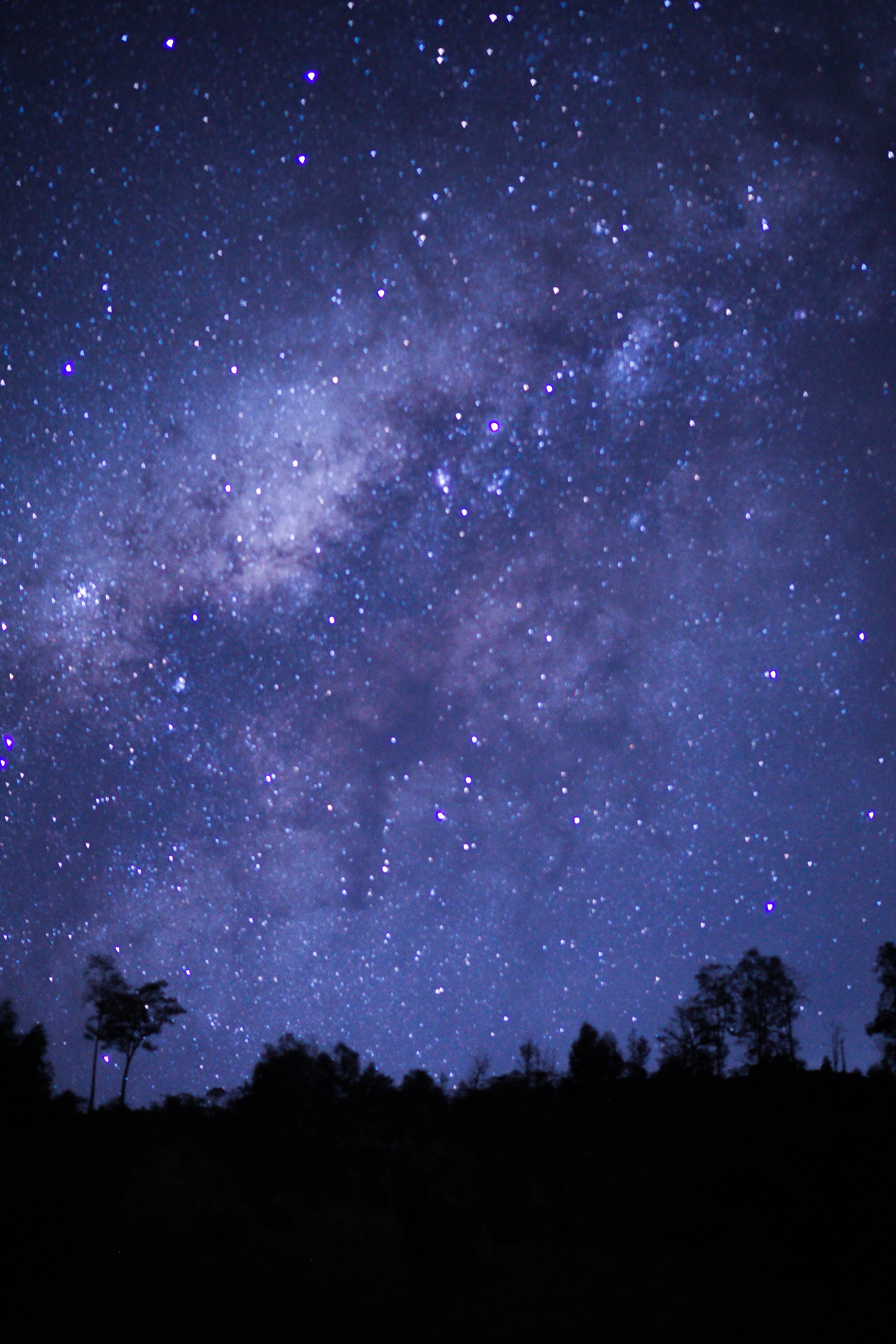 silhouette, star - space, land, milky way, star, tranquility, scenics - nature, plant, beauty in nature, no people, space, night, outdoors, 5K, nature, Phone HD Wallpaper