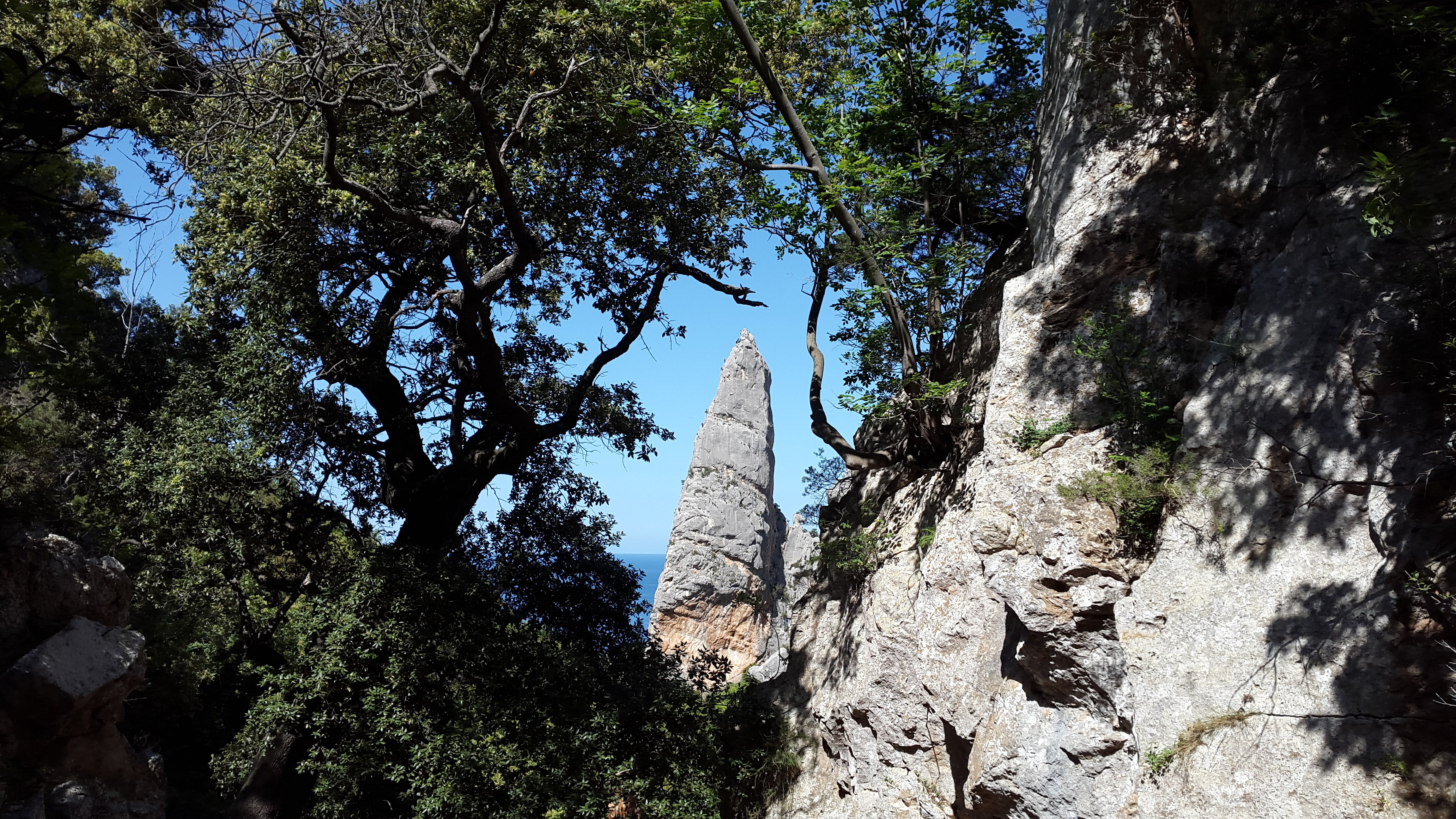 low angle view, climb, land, tree trunk, outdoors, sardinia, rock formation, solid, sky, ogliastra, tranquility, cala goloritzè, beauty in nature, monte caroddi, HD Wallpaper