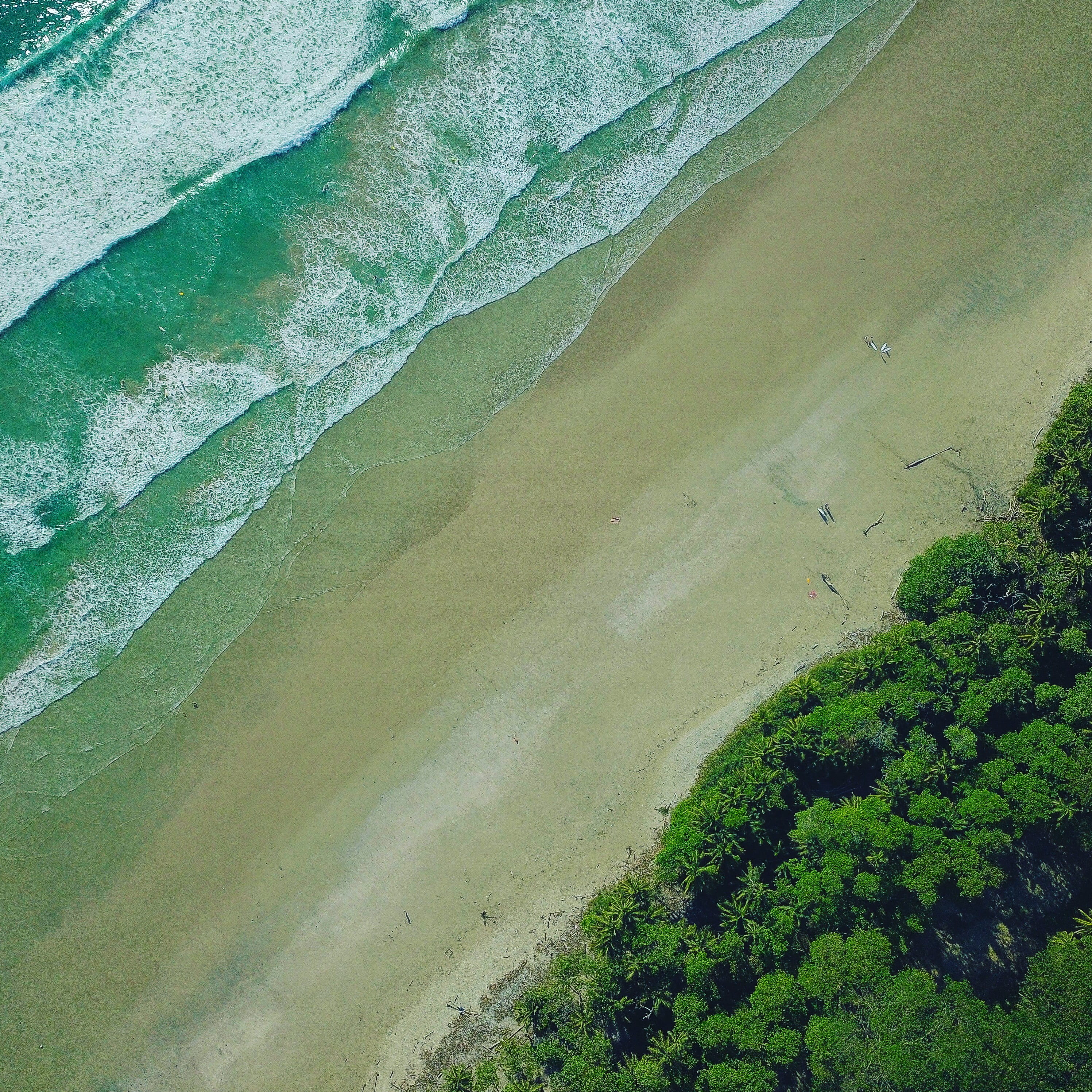 high angle view, day, scenics - nature, seashore, plant, green color, water, wave, tranquility, no people, green, drone, outdoors, tree, environment, idyllic, Phone HD Wallpaper
