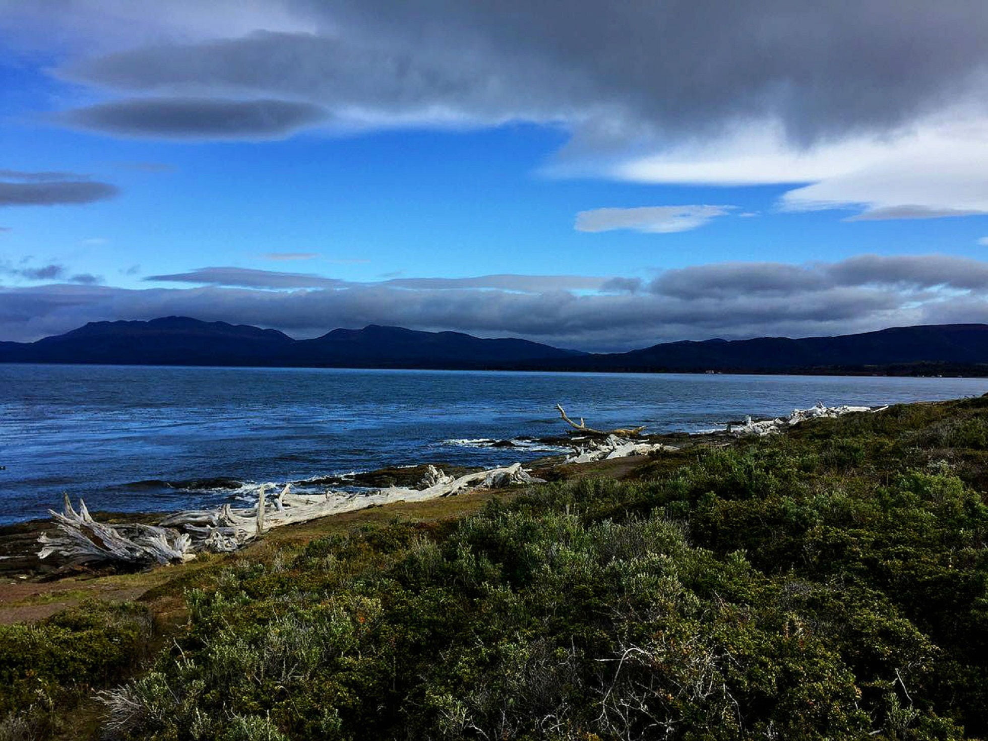 tranquility, cloud - sky, plant, mountain, land, sky, water, nature, beach, punta arenas, beauty in nature, travel, day, chile, landscape, tranquil scene, HD Wallpaper