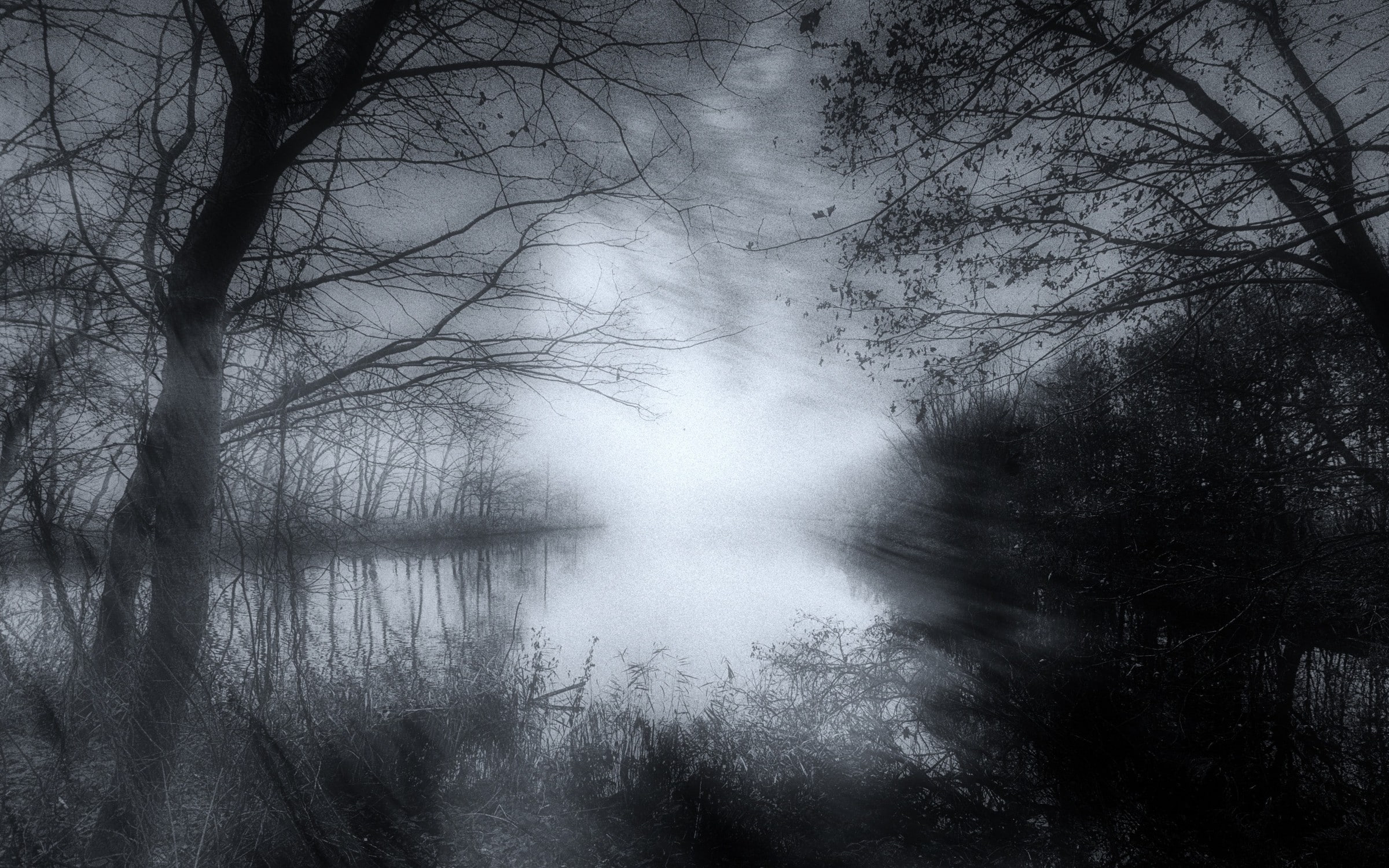tranquil scene, morning, shrubs, monochrome, scenics - nature, non-urban scene, trees, water, tree, haze, bare tree, no people, landscape, idyllic, plant, HD Wallpaper