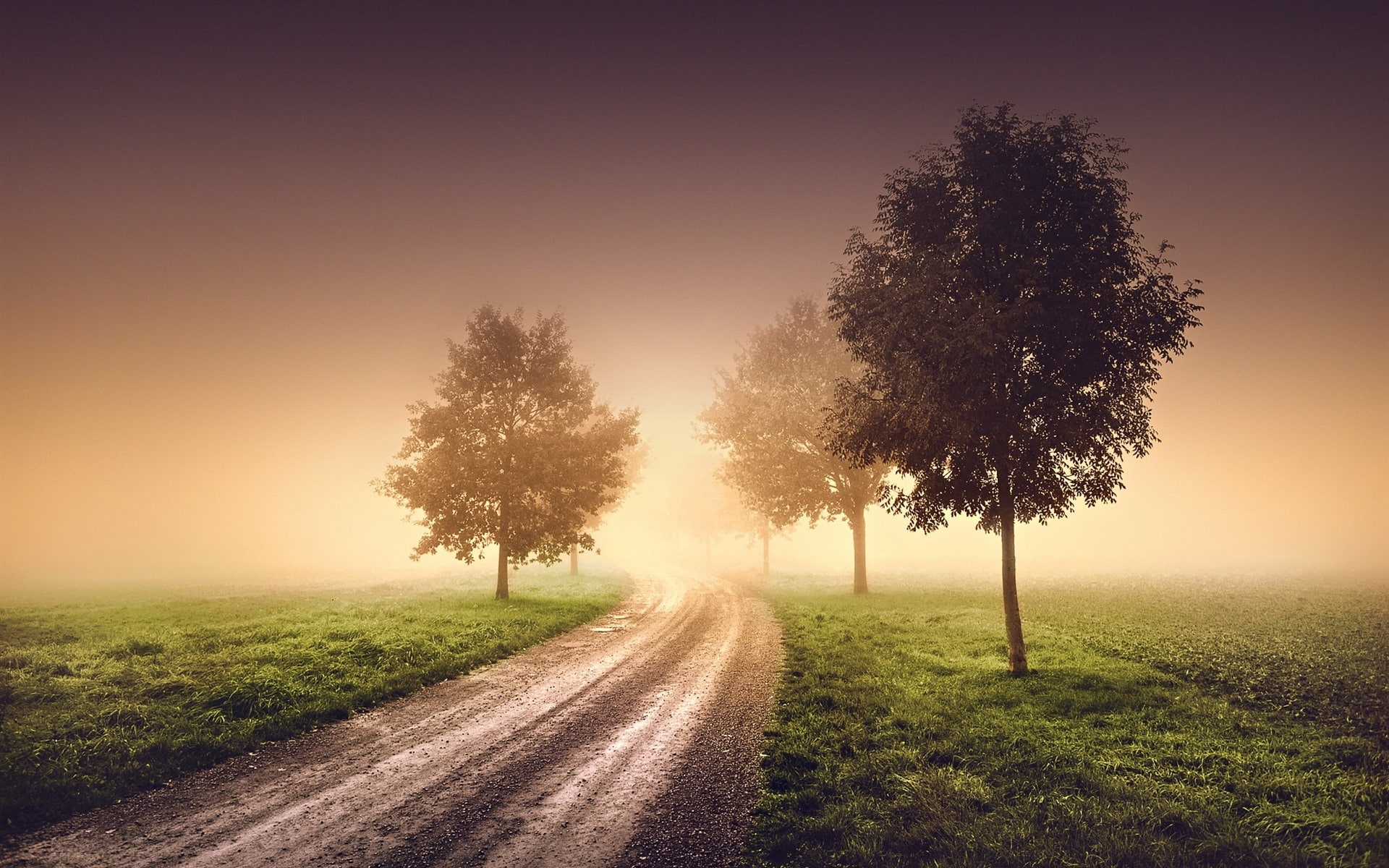 Morning, Haze, 1080P, Fog, Road, Trees, HD Wallpaper