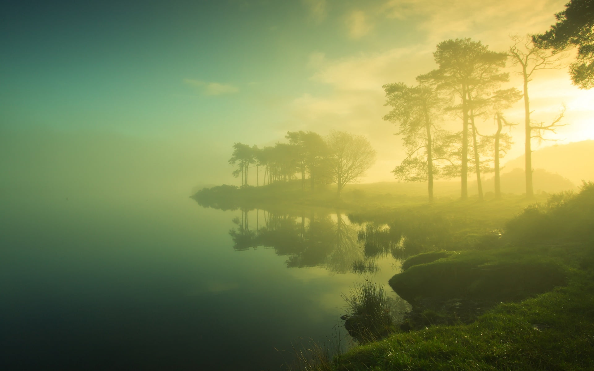 green Color, morning, sky, forest, sunset, rural Scene, leafed, cloud - sky, sunrise - Dawn, water, scenics - nature, non-Urban Scene, tranquil Scene, haze, HD Wallpaper