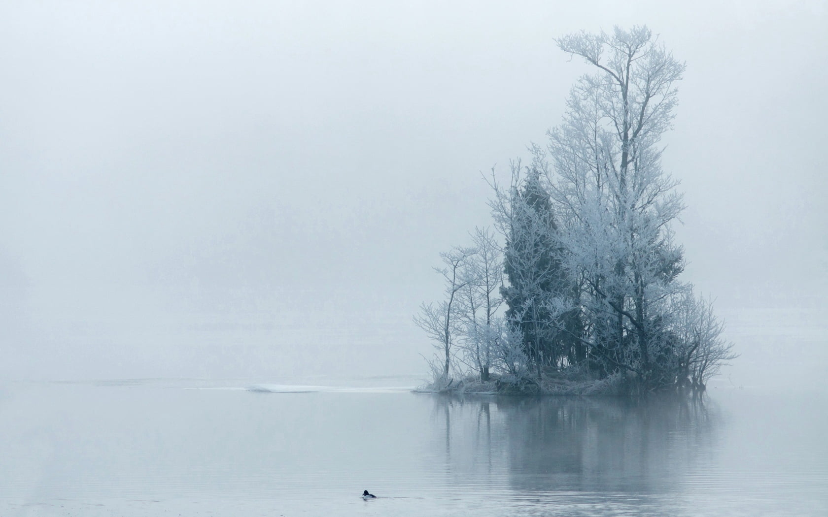 no People, landscapes, branch, white, nature, blue, 720P, rural Scene, plant, waterfront, forest, backgrounds, fog, day, bare, frozen, water, trees, island, HD Wallpaper