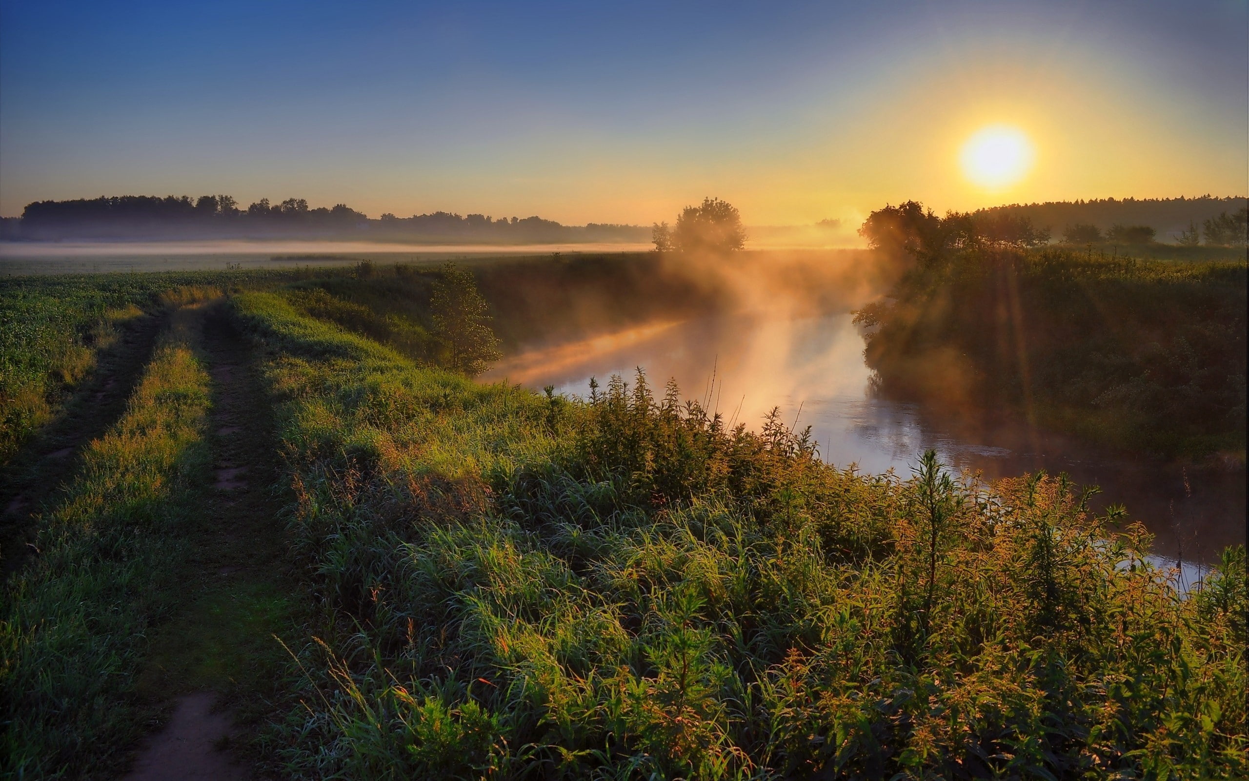 scenics - nature, Morning, Sun, change, sunset, Fog, tranquil scene, no people, environment, Road, tree, Country, sunlight, Dawn, Haze, beauty in nature, HD Wallpaper