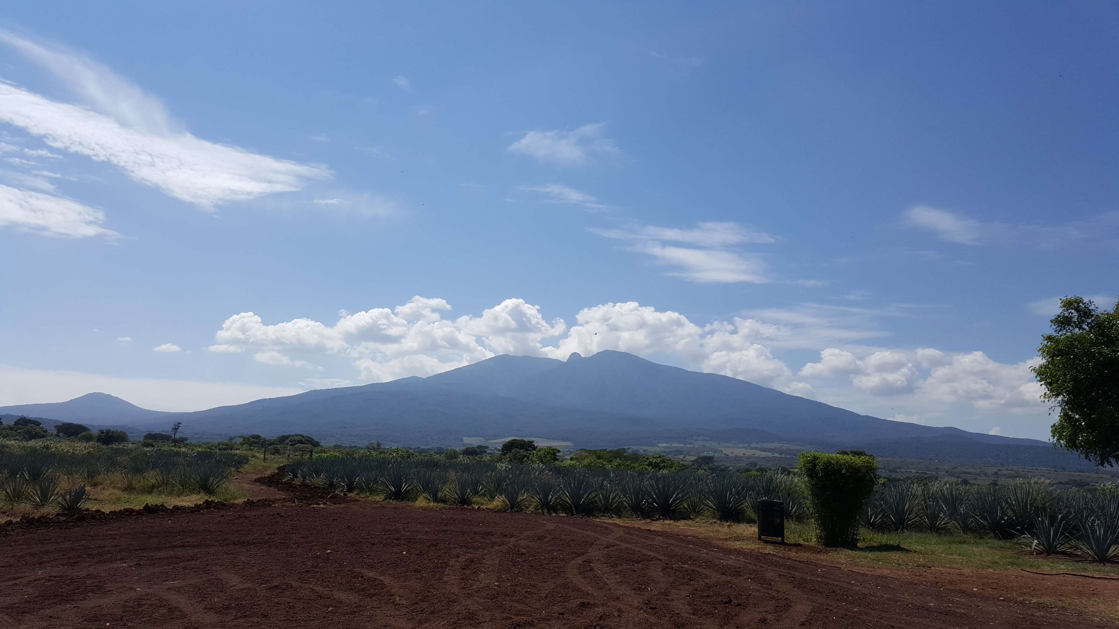 outdoors, scenics - nature, mountain, sky, plant, tranquil scene, landscape, no people, cloud - sky, volcano, environment, nature, beauty in nature, growth, HD Wallpaper