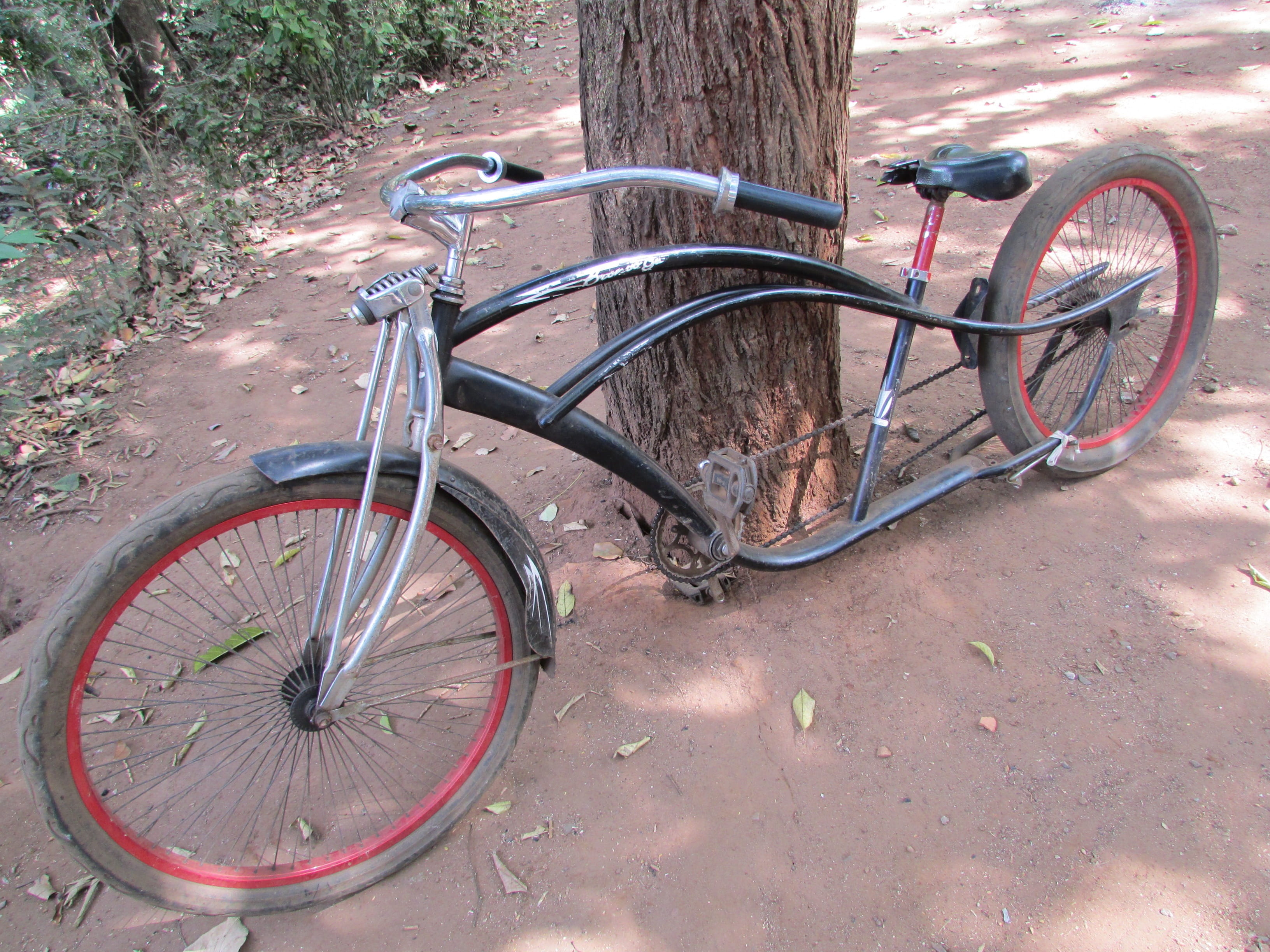 Bike, Old, mode of transportation, cycle, outdoors, leaning, Dandeli, plant, nature, mode of transport, transportation, parking, land vehicle, 2K, cycling, HD Wallpaper