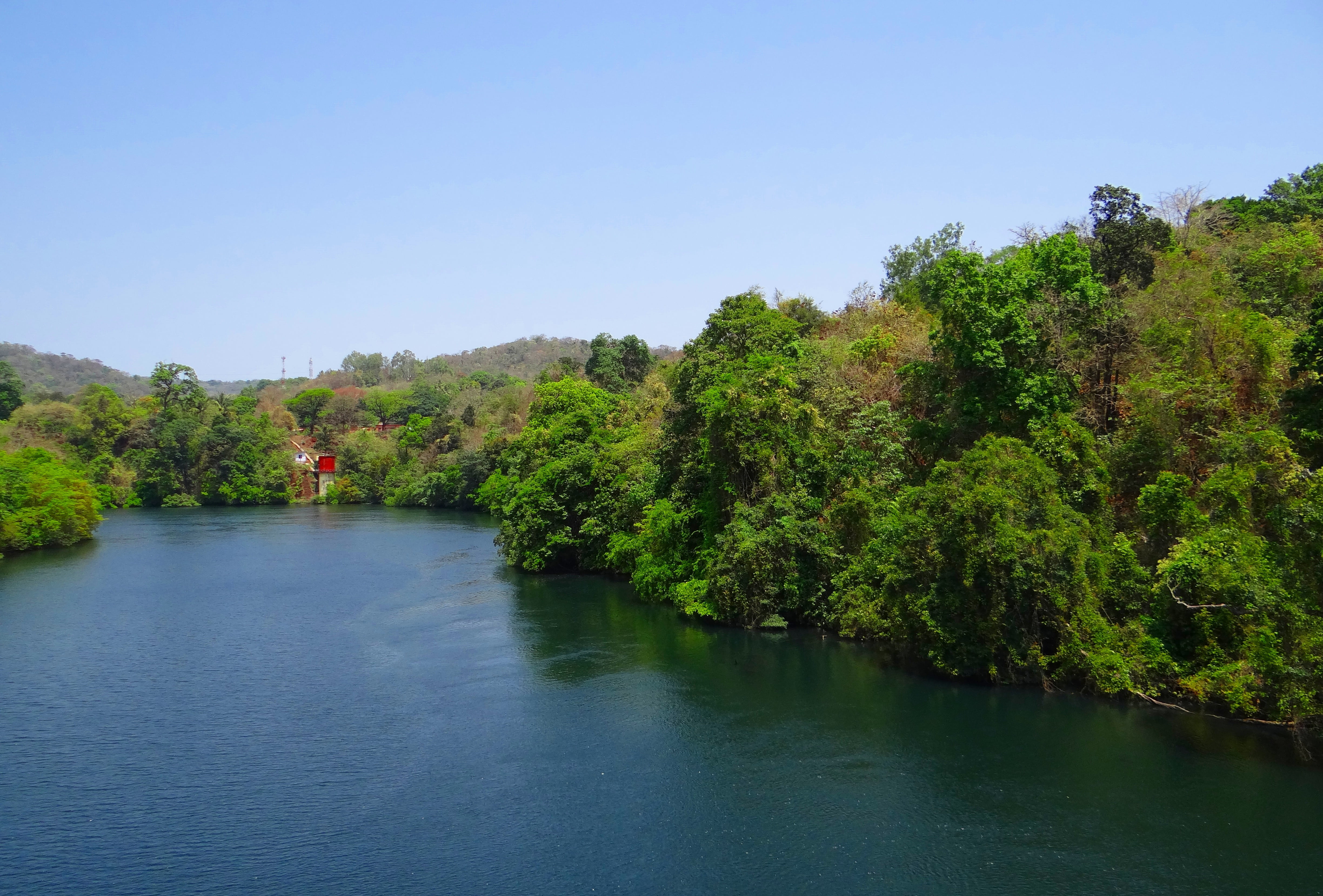 kali, tranquility, outdoors, non-urban scene, growth, beauty in nature, view, ecology, scenery, green color, karnataka, clear sky, dandeli, day, nature, HD Wallpaper