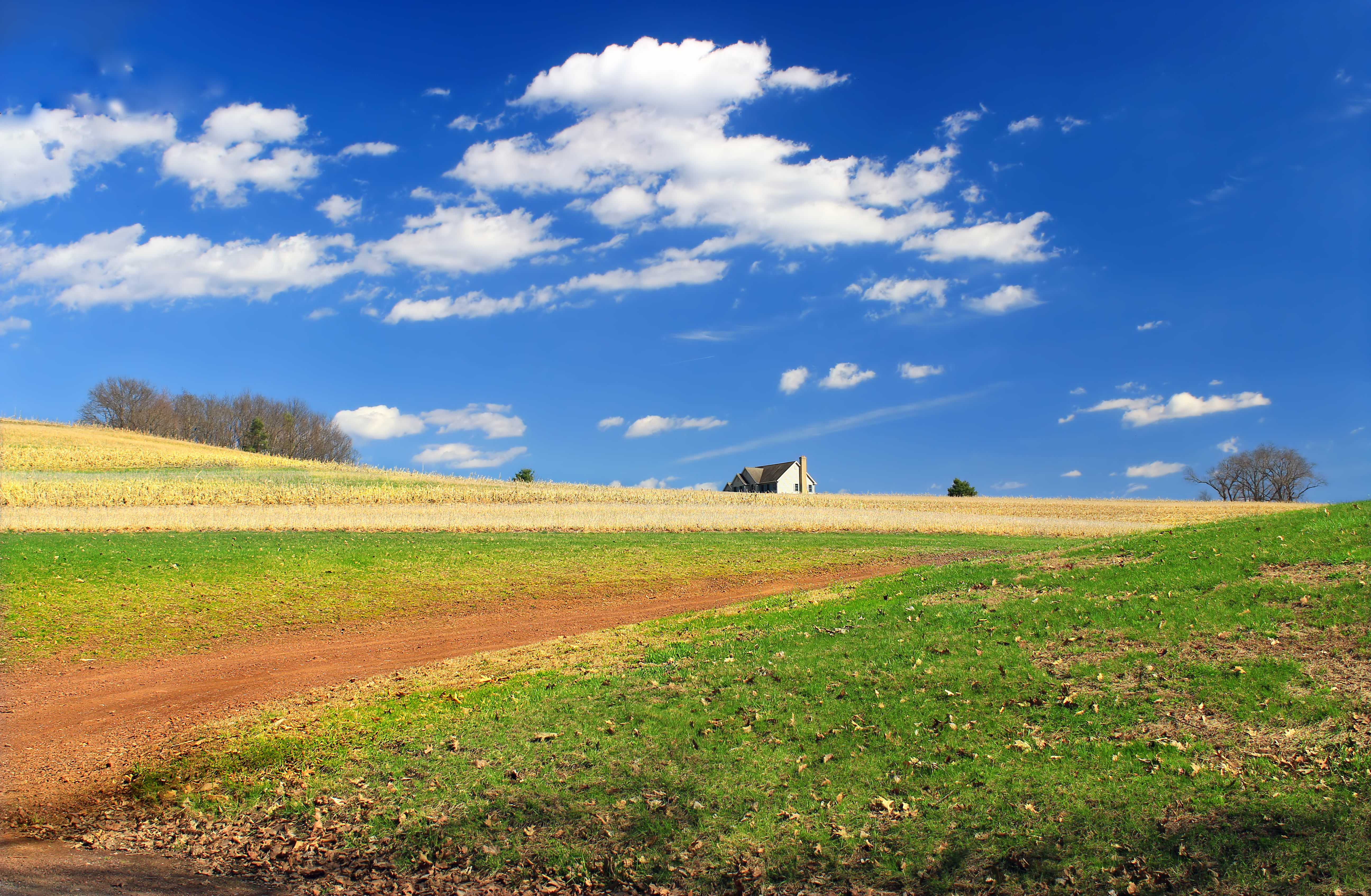 fields, 5K, farm, meadow, spring, outdoors, creative commons, cumulus, photography, Crawford, clouds, summer, landscape photography, rural, agriculture, HD Wallpaper