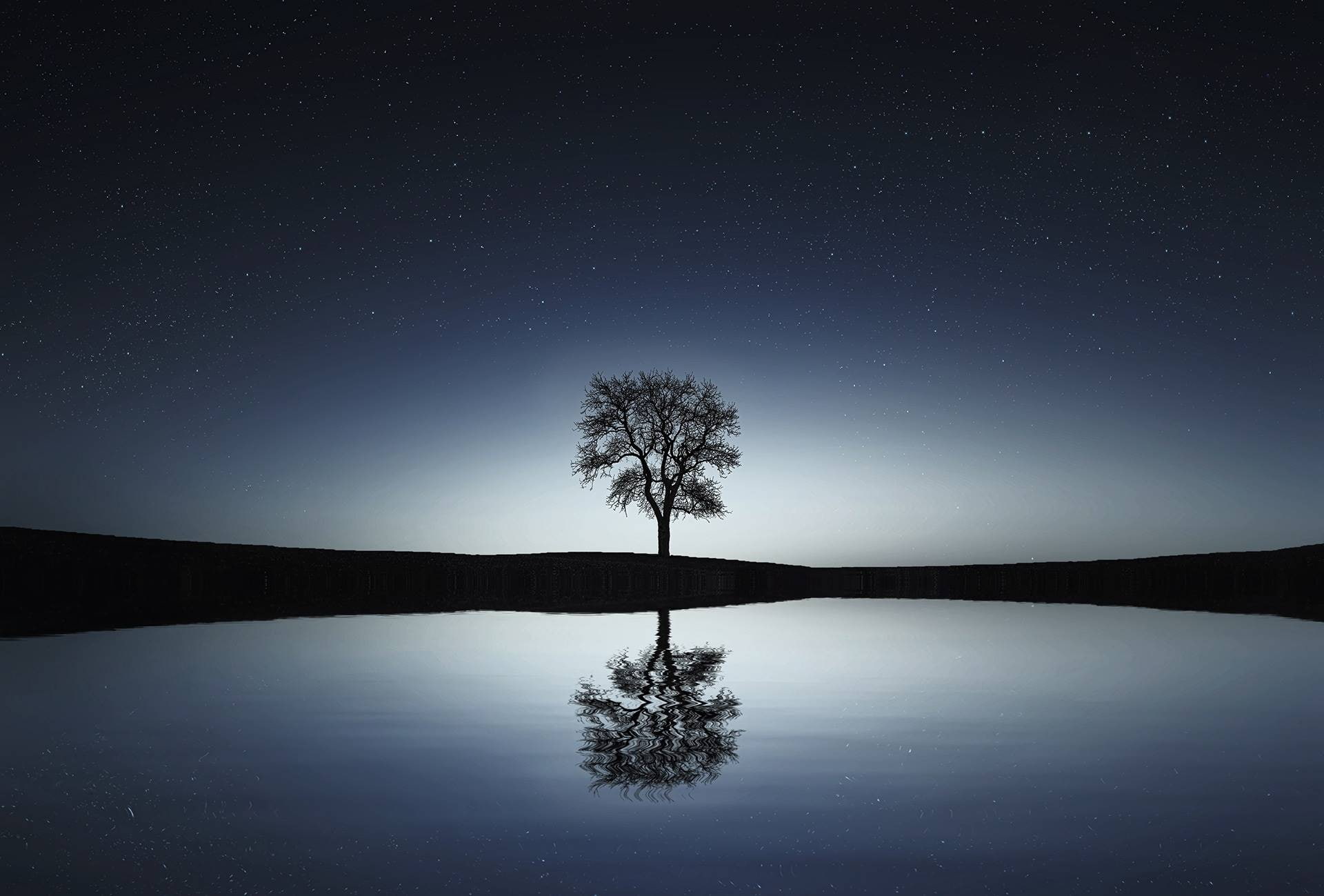 tree, reflection, tranquil, lake, calm, water, scene, 1080P, HD Wallpaper
