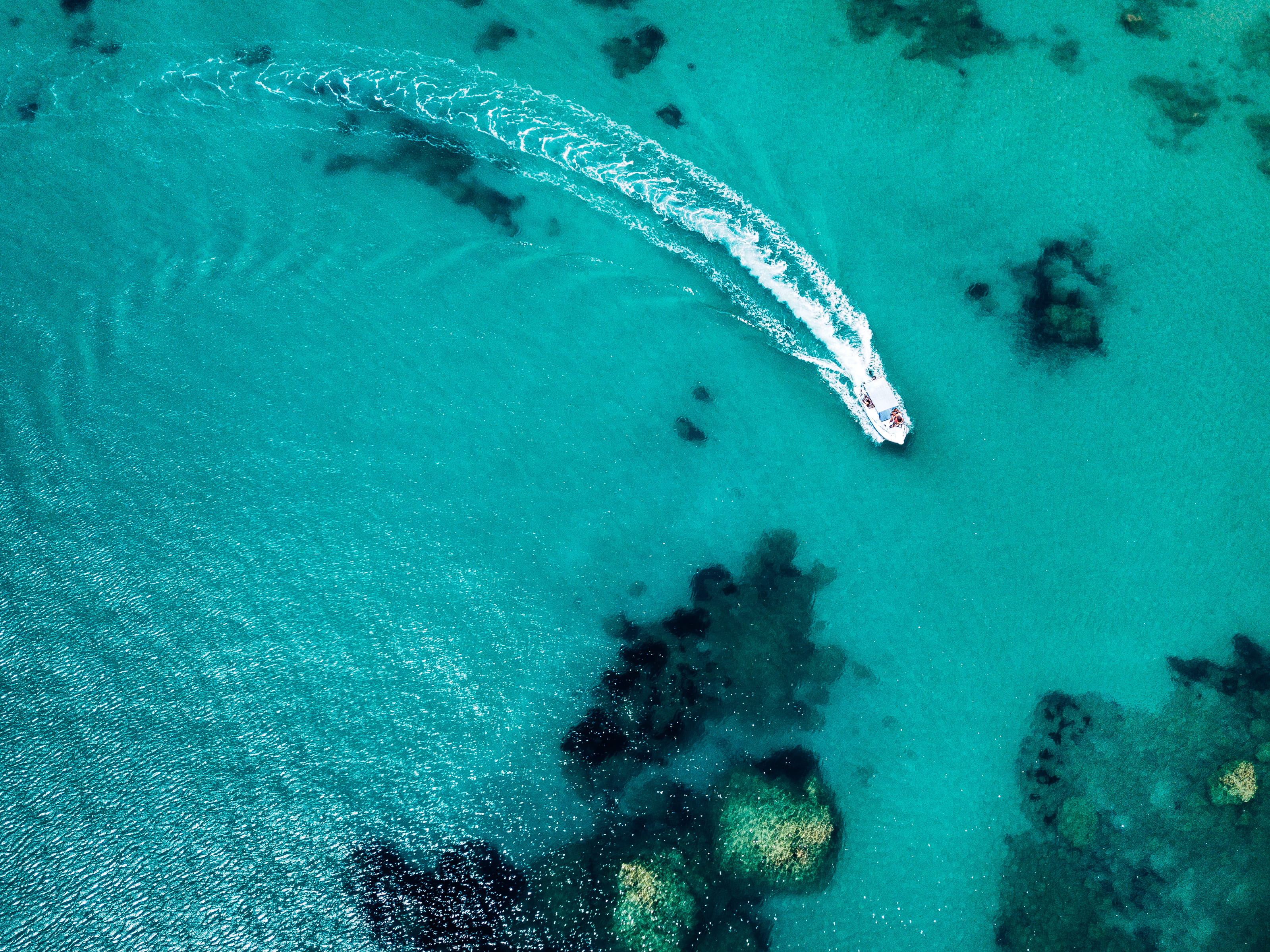 look, summer, daytime, land, clear water, clear, high angle view, moving, no people, marine, aerial view, animals in the wild, beauty in nature, body, underwater, HD Wallpaper