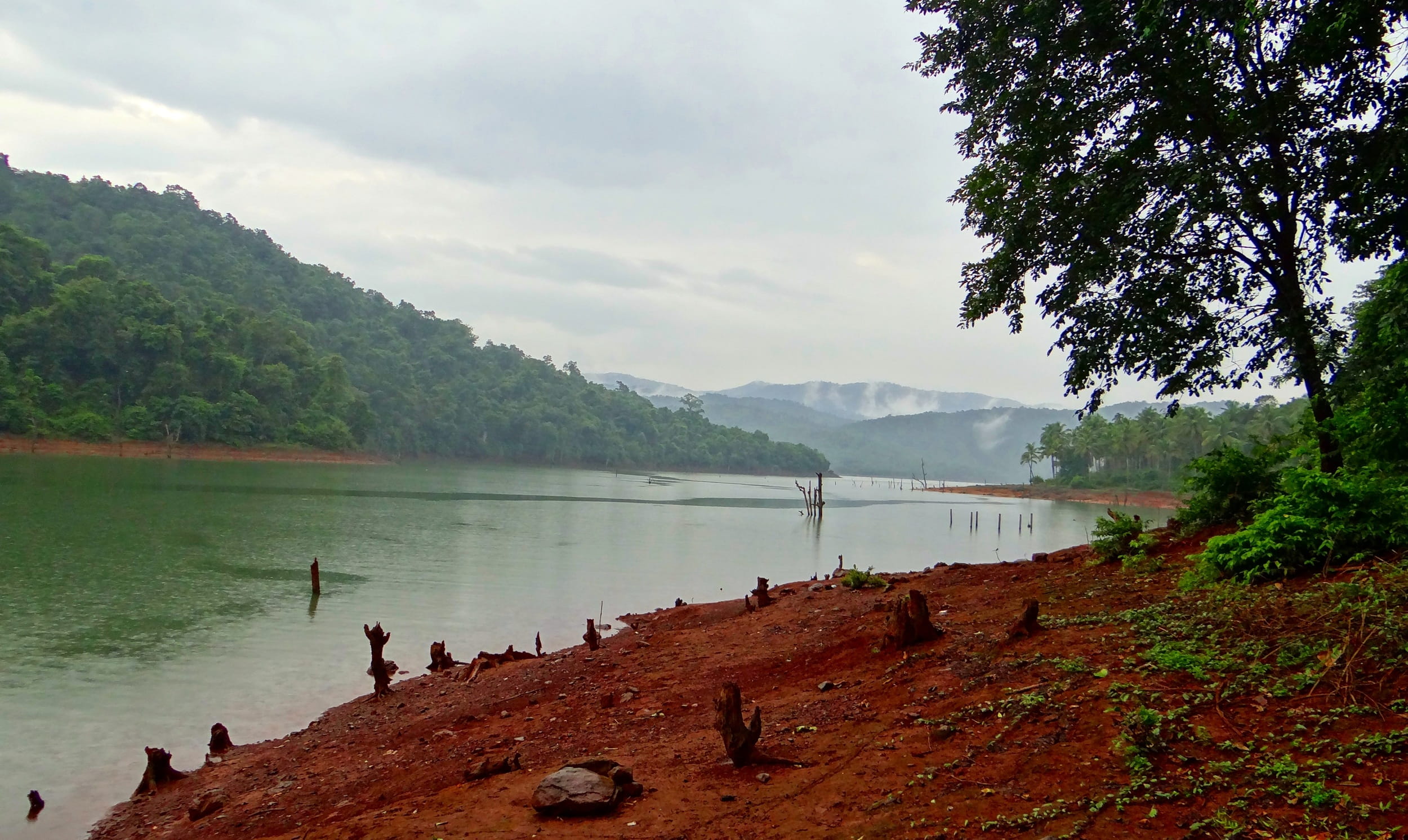 natural, landscapes, non-urban scene, scenics, scenics - nature, color Image, tranquility, outdoor, day, nature, land, Kali River, view, water, tree, wild, HD Wallpaper
