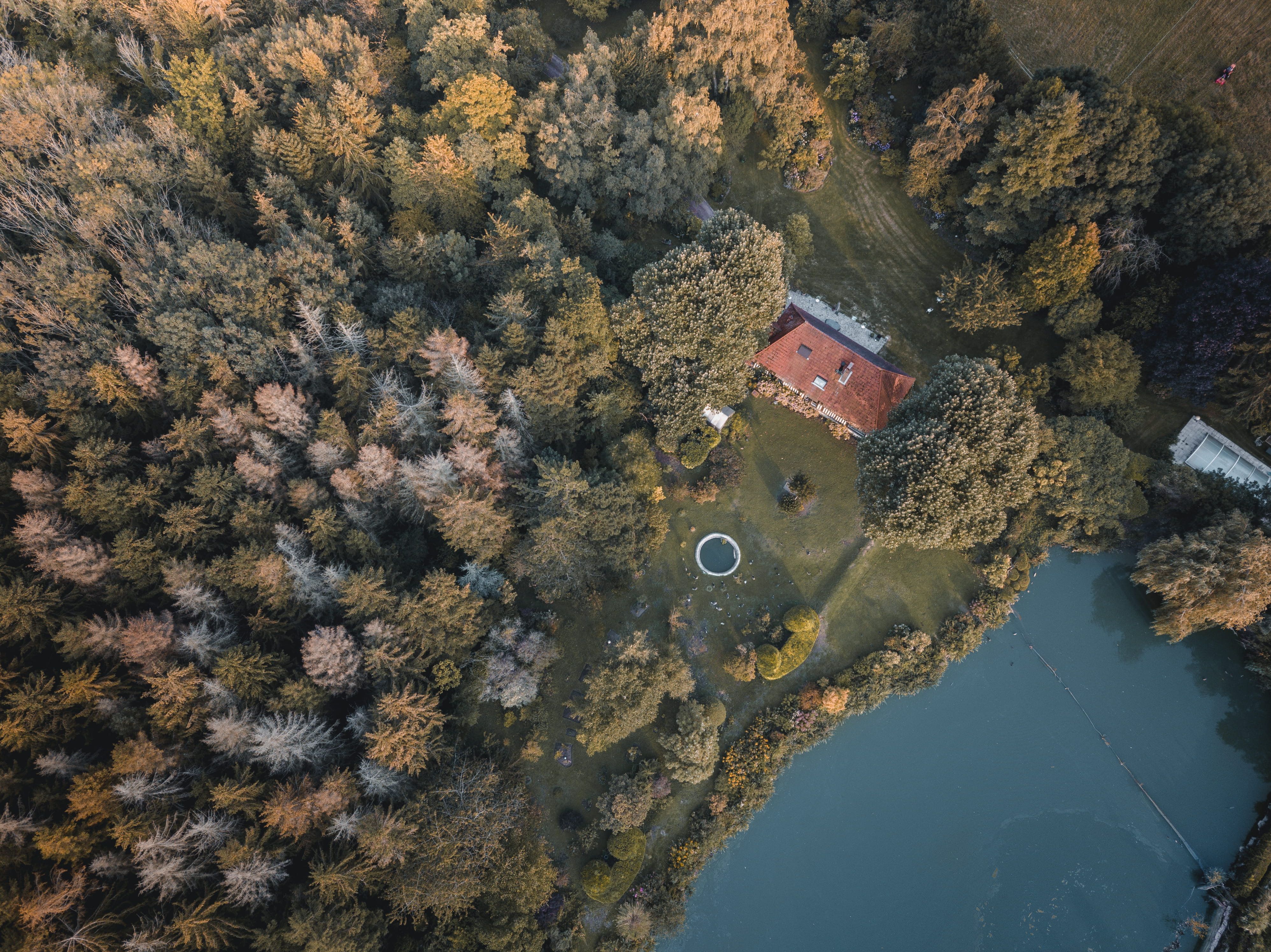 dron, history, tree, old, home, church, rural Scene, hot tub, forest, dense, jacuzzi, architecture, outdoors, pond, cenital, green Color, mansion, beauty In Nature, HD Wallpaper