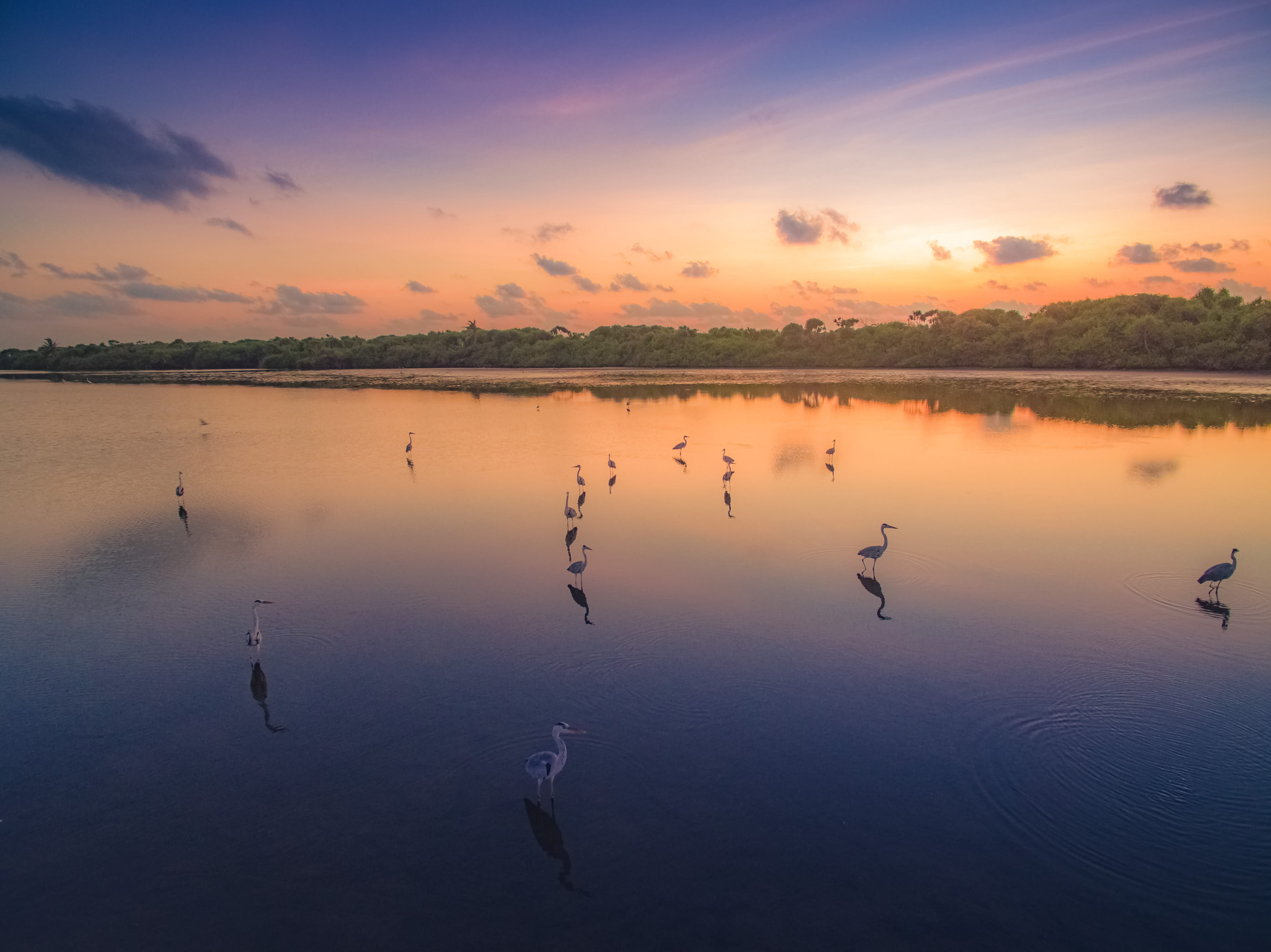 idyllic, person, dawn, vertebrate, addu city, reflection, scenics - nature, mangrove, sky, water, 4K, waterfront, maldives, orange color, nature, wildlife, HD Wallpaper
