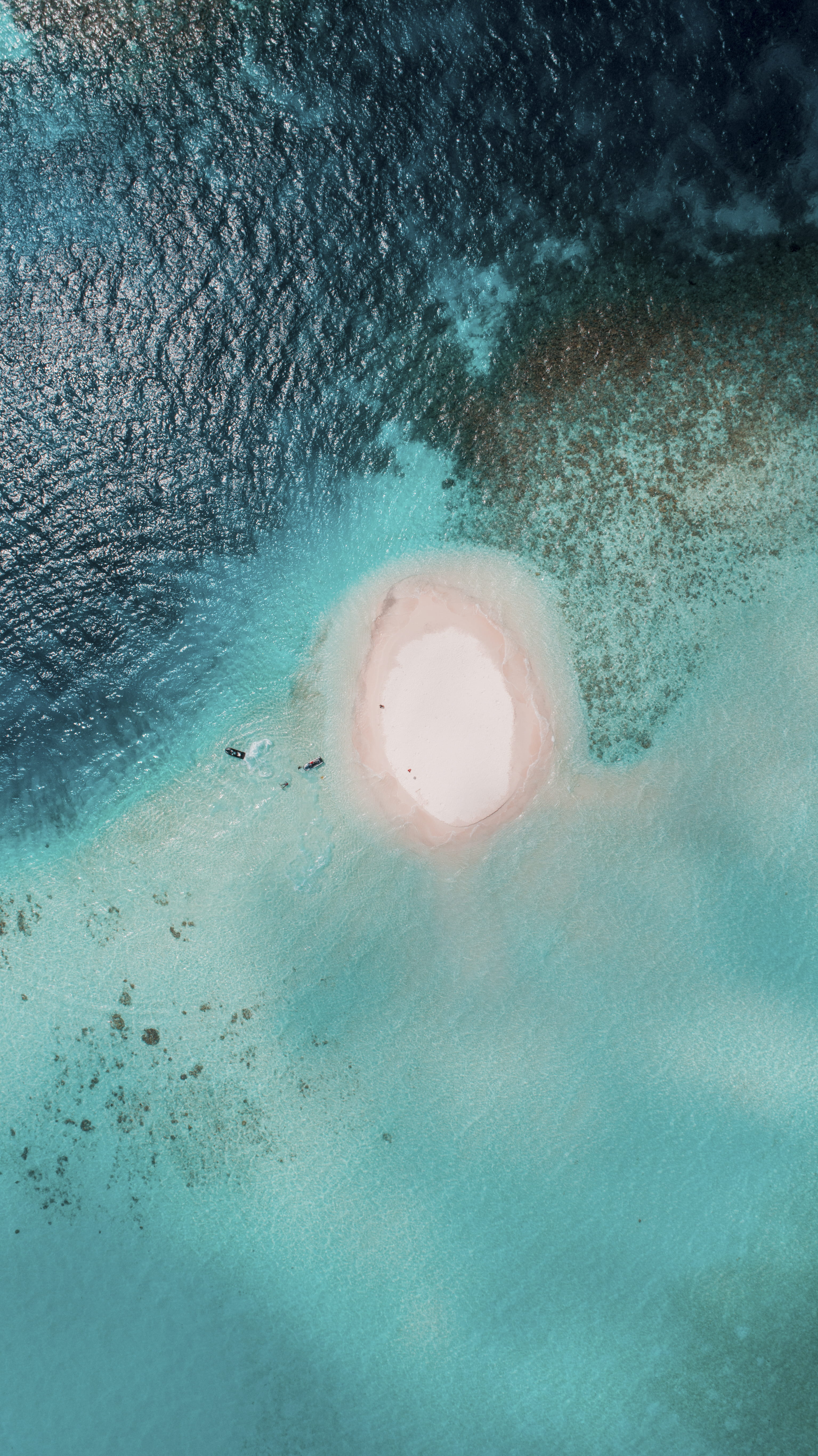 outdoors, close-up, one person, sandbank, day, animal wildlife, ocean, leisure activity, body, sea life, high angle view, lifestyles, turquoise colored, Phone HD Wallpaper