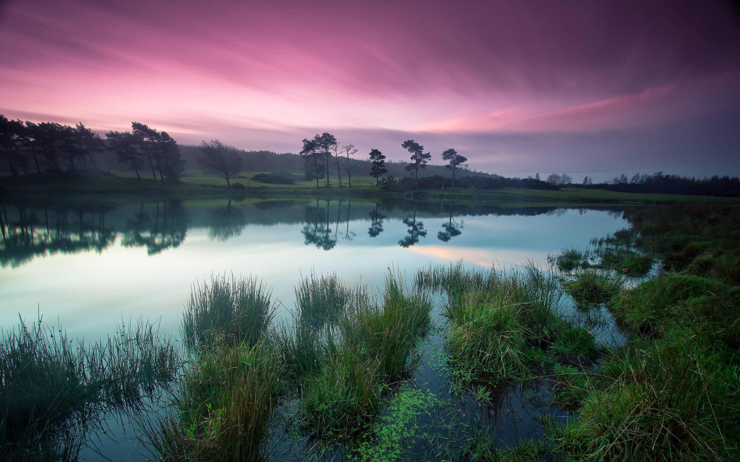 lakes, Dusk, Purple, Beauty, Lake, Green, Sky, 2K, Tranquil, Trees, HD Wallpaper