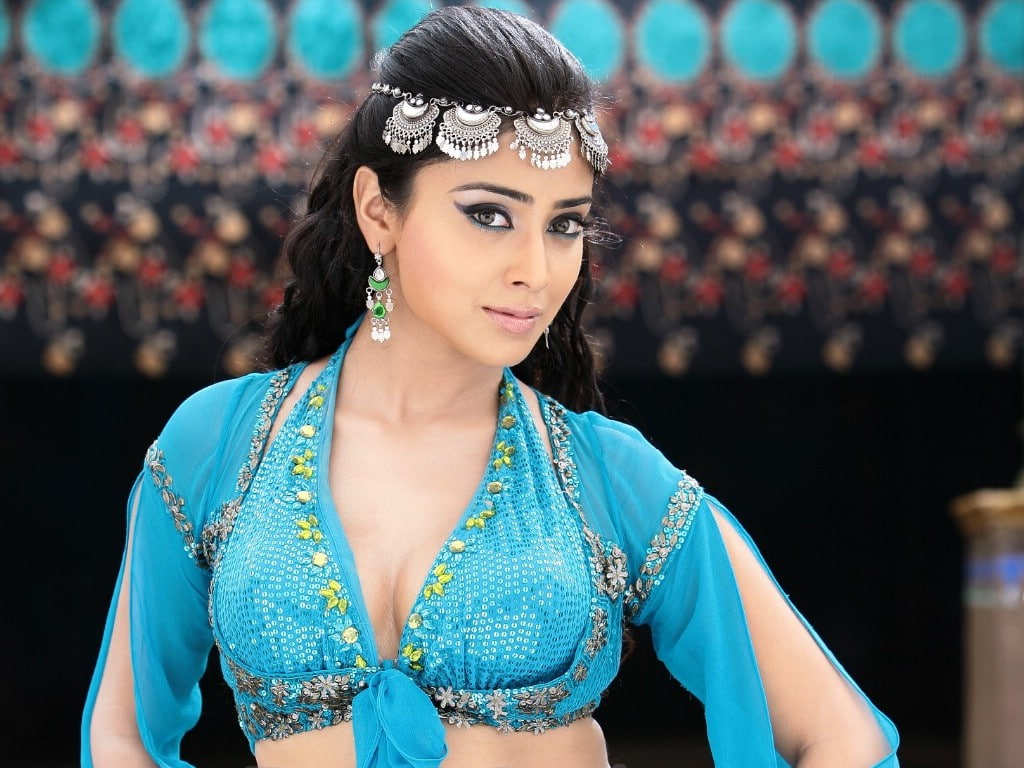 emotion, beautiful woman, women, clothing, 480P, traditional clothing, beauty, headshot, fashion, waist up, hair, Shriya, front view, young adult, adult, HD Wallpaper