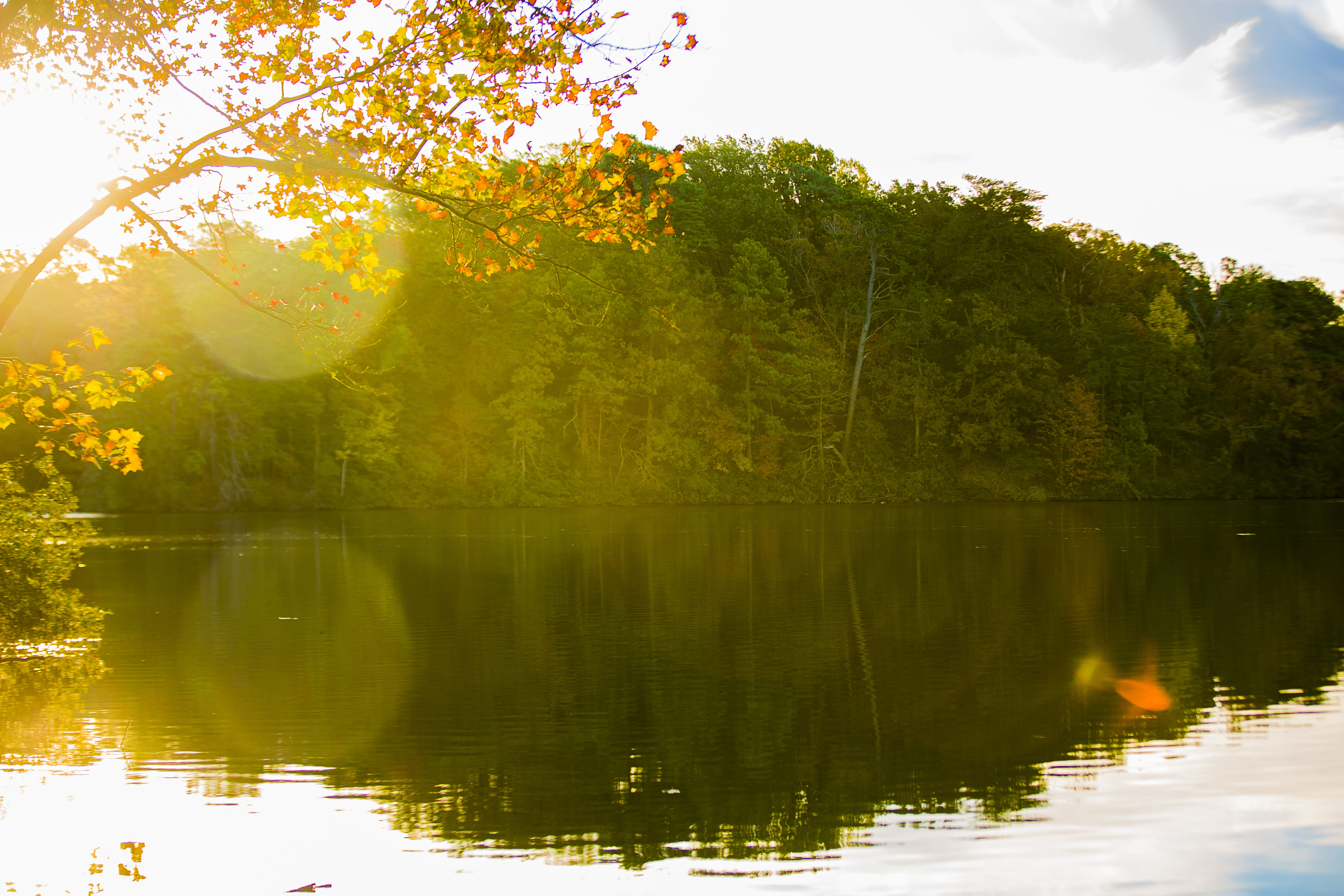 sun, sky, sun flare, season, no people, day, nature, 5K, united states, plant, tree, tranquility, clouds, fall, non-urban scene, woods, idyllic, newport news, HD Wallpaper