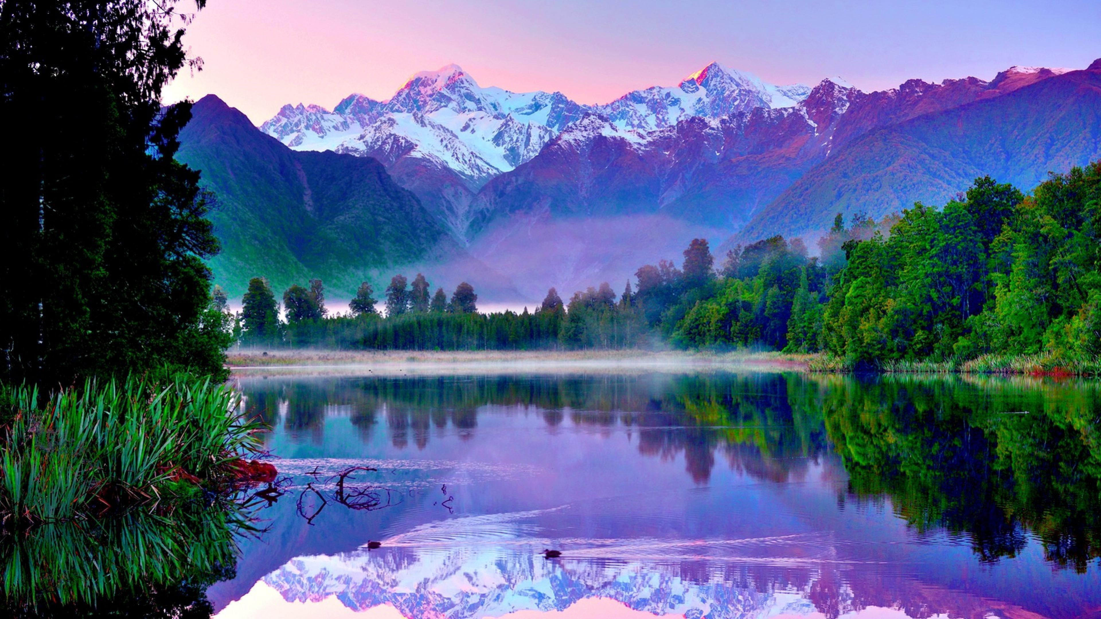 plant, outdoors, lake, scenics - nature, stunning, environment, forest, 4K, mountains, mountain peak, beauty in nature, purple, water, landscape, sky, HD Wallpaper