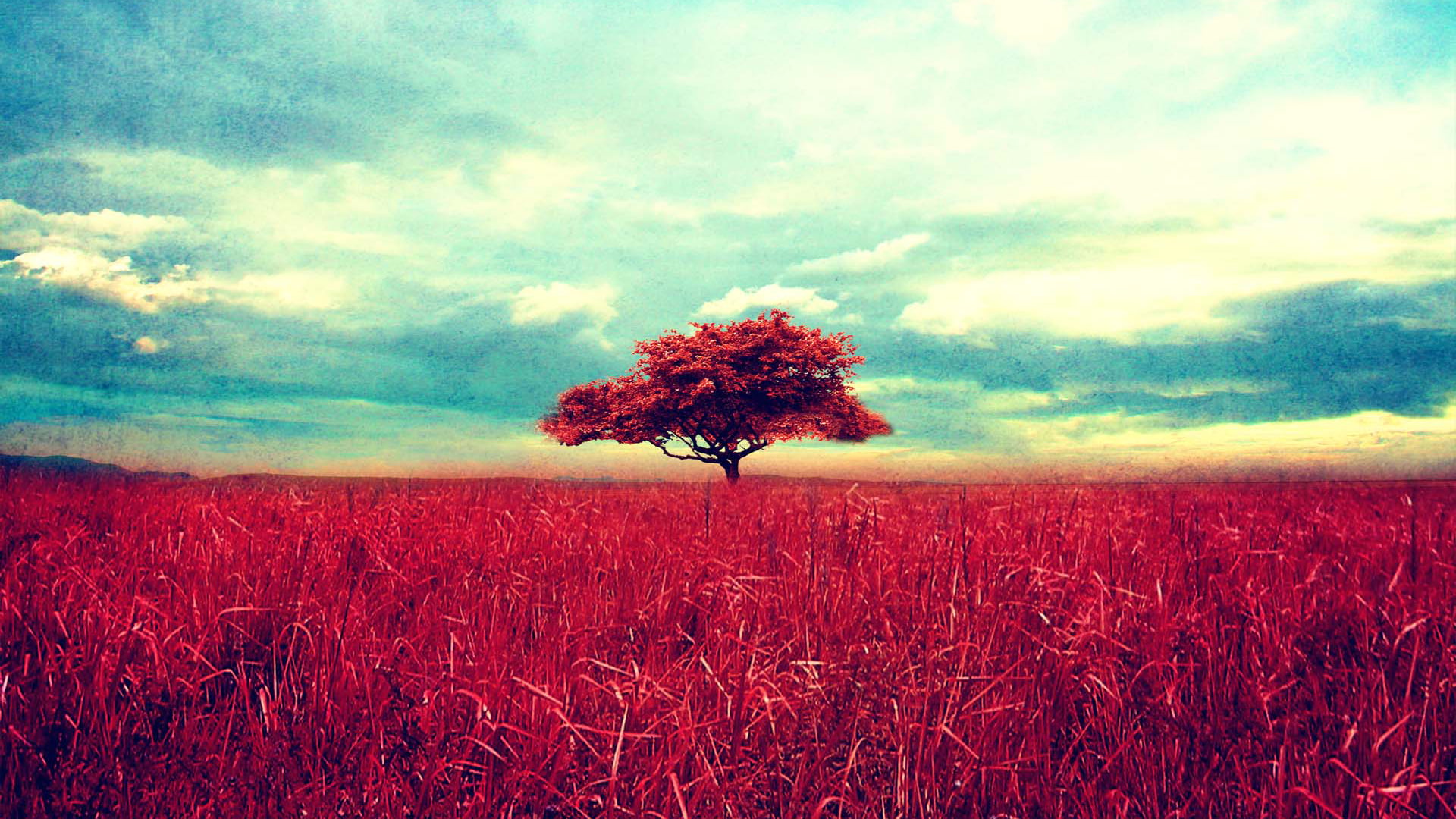 vintage, landscape, nature, hd, scene, 1080P, HD Wallpaper
