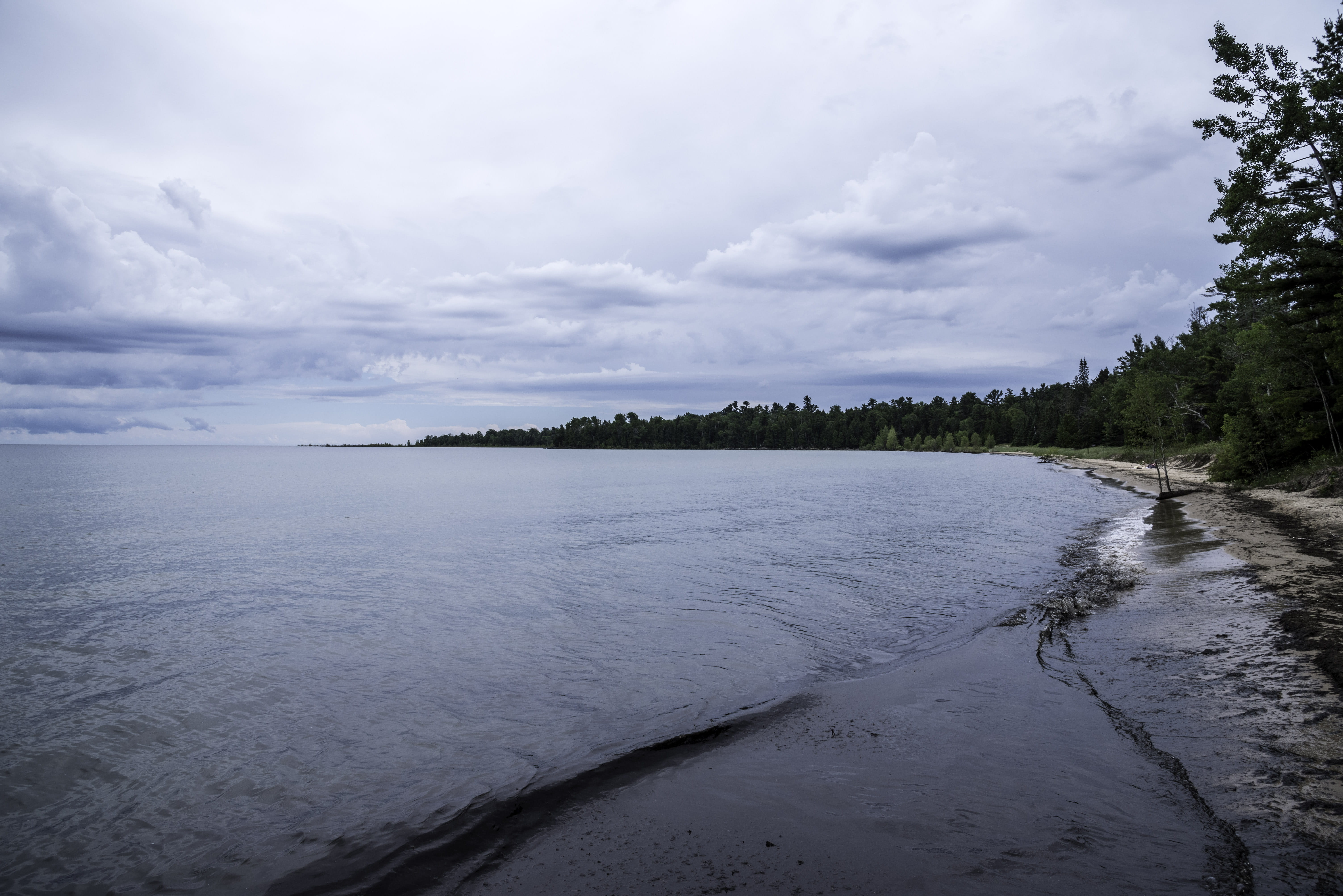 nature, beauty in nature, tranquility, newport, day, idyllic, non-urban scene, plant, sky, forest, scenics, water, no People, lake, state, beach, park, HD Wallpaper