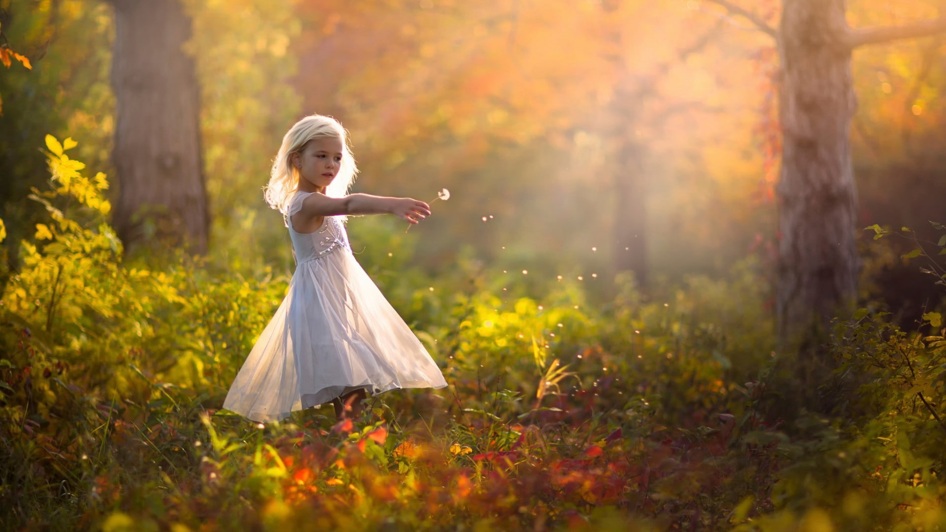 1080P, children little girl dandelion depth of field blonde white dress jake olson, HD Wallpaper