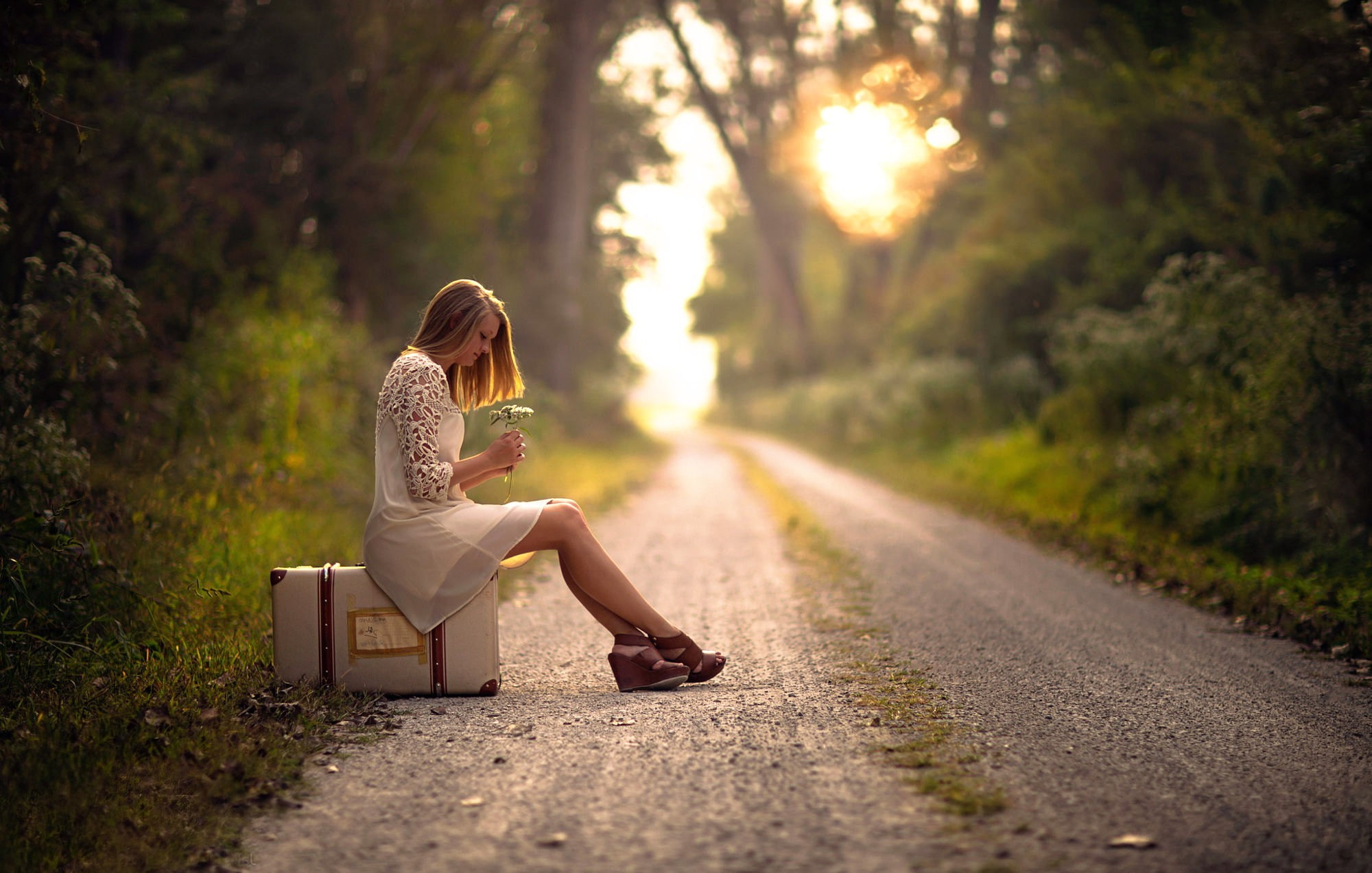 road, beauty, depression - sadness, young adult, women, tree, one person, lens flare, plant, adult, casual clothing, emotion, sun, sitting, sunset, sunlight, HD Wallpaper