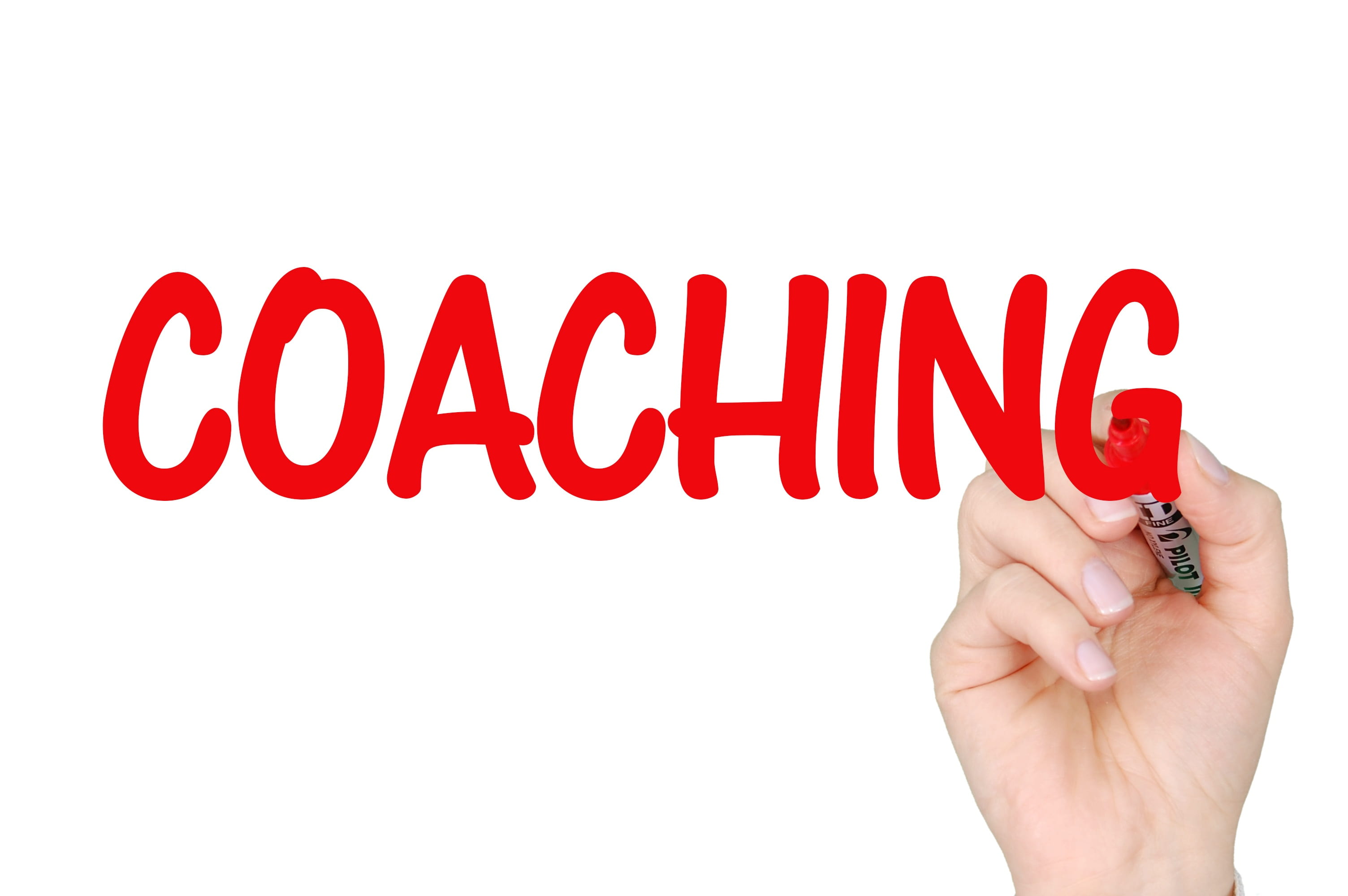 hand, indoors, coaching business, occupation, human hand, business, adult, western script, 2K, red, business coaching, human finger, communication, holding, HD Wallpaper