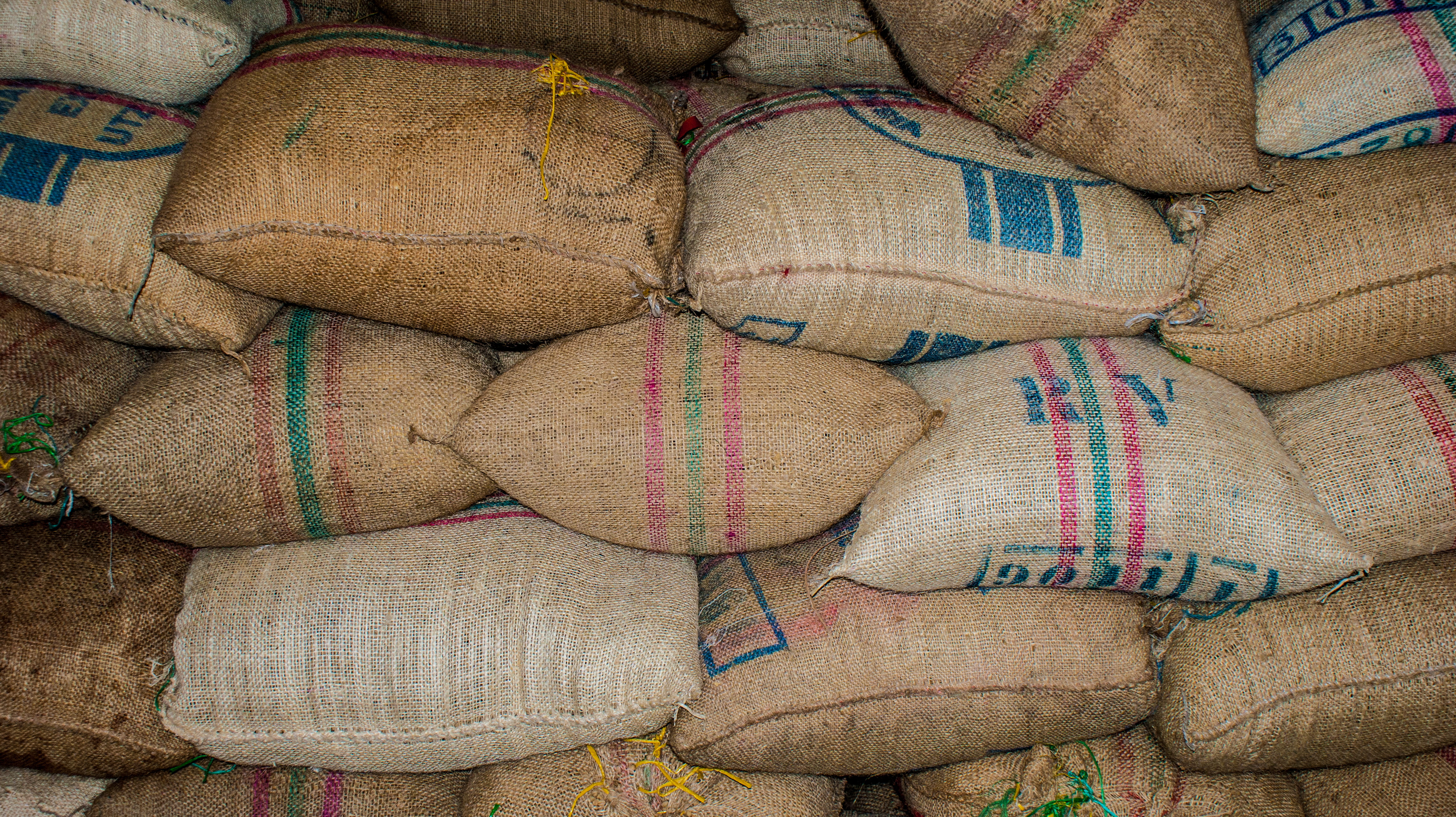outdoors, full frame, pile, abundance, bean, high angle view, day, industrial, green, fishing industry, grain, coffee, food, arrangement, backgrounds, stack, HD Wallpaper