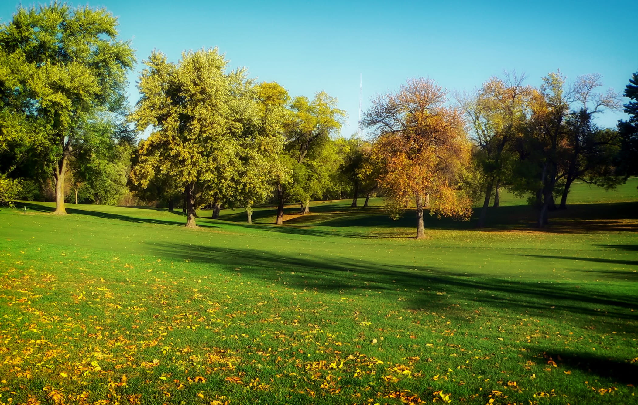 leisure activity, nebraska, field, rural, grass, change, trees, beauty in nature, sky, green color, sunlight, tree, land, golf, calming, park, outside, HD Wallpaper