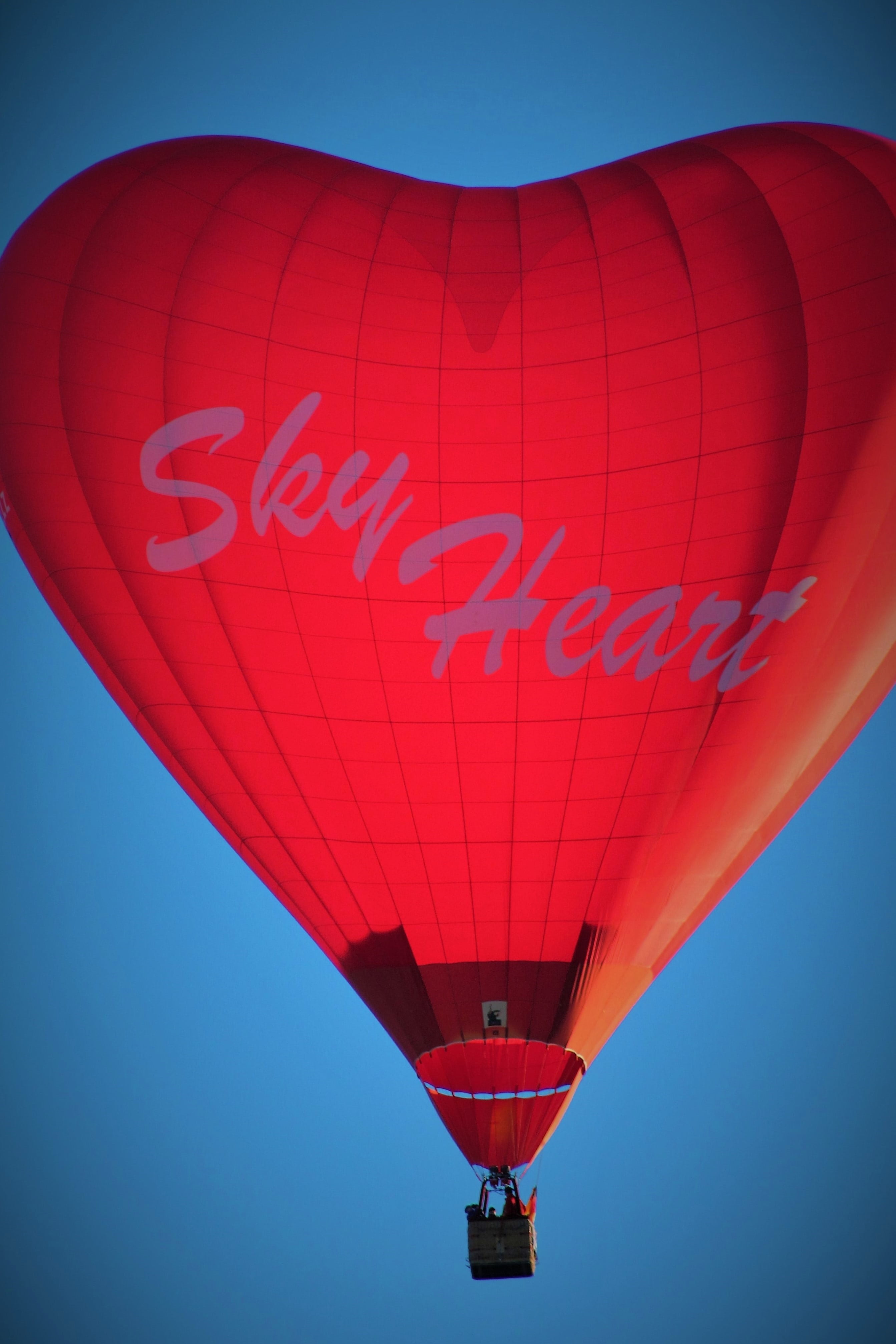 dom, colors, flying, albuquerque balloon fiesta, albuquerque international balloon, recreation, red heart, low angle view, blue, air, moving up, ride, tourist, Phone HD Wallpaper