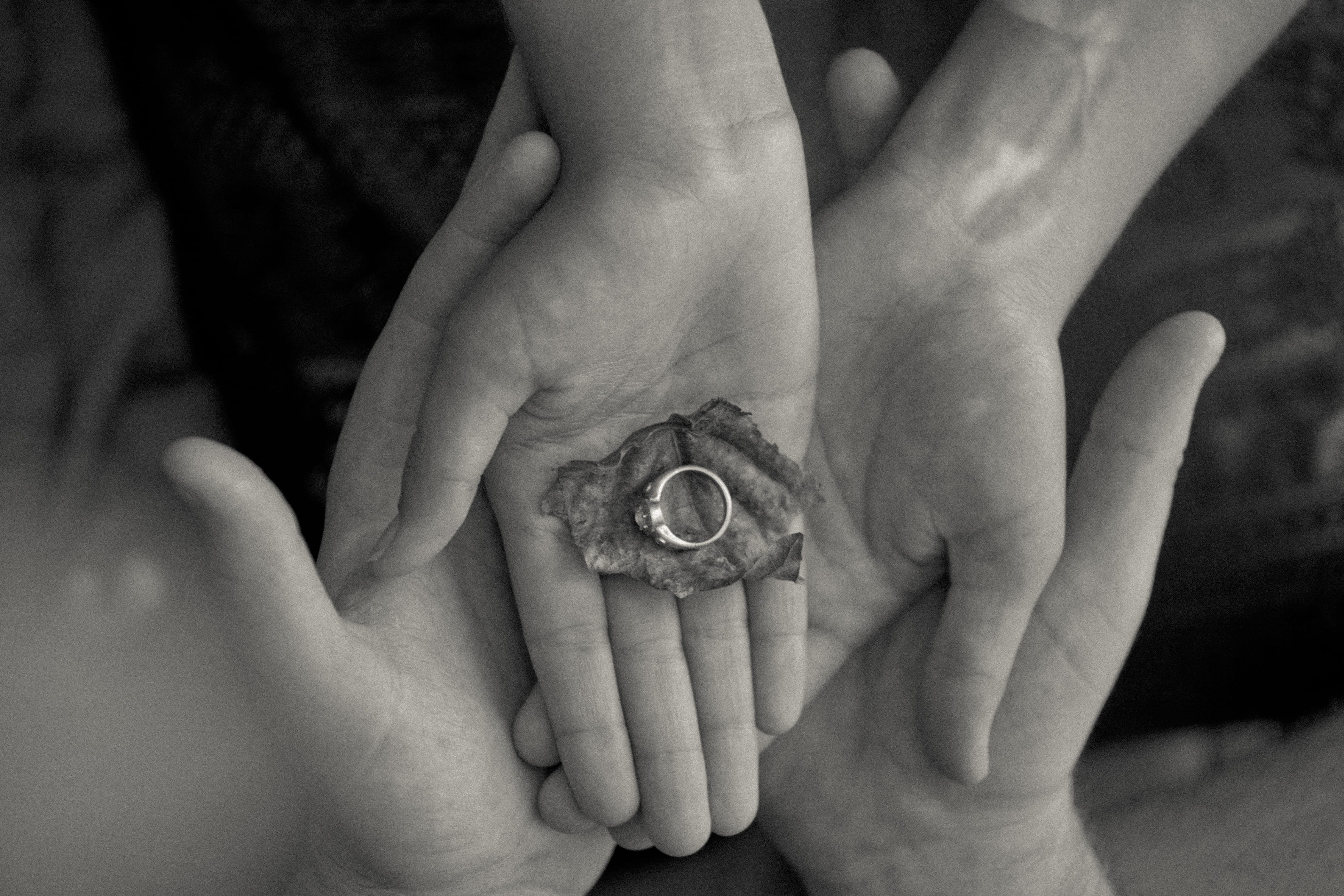 proposal, hand, 4K, grayscale, human body part, woman, finance, black-and-white, human hand, adult, ring, finger, leaf, coin, body part, men, person, man, HD Wallpaper