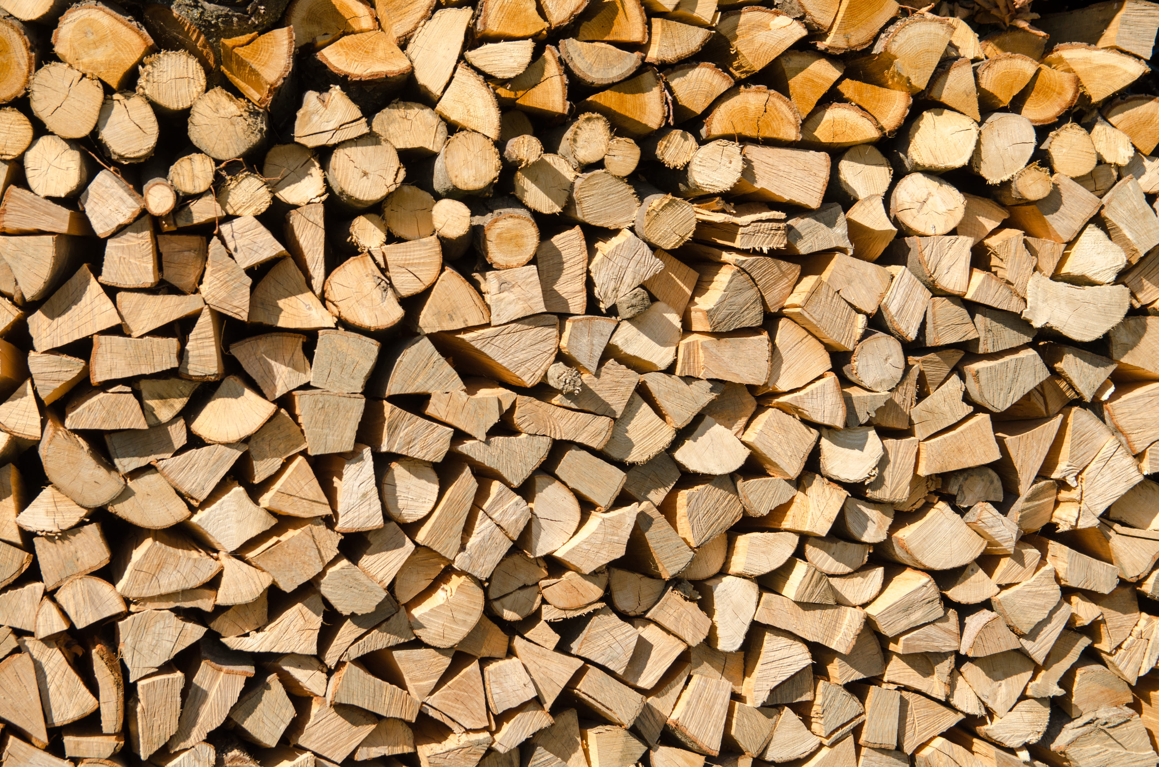 oars, lens cap, chain, fox, 4K, large group of objects, path, full frame, lumber, lot, wood - material, texture, wedge, natural, winter, brown, tree, chopped, HD Wallpaper