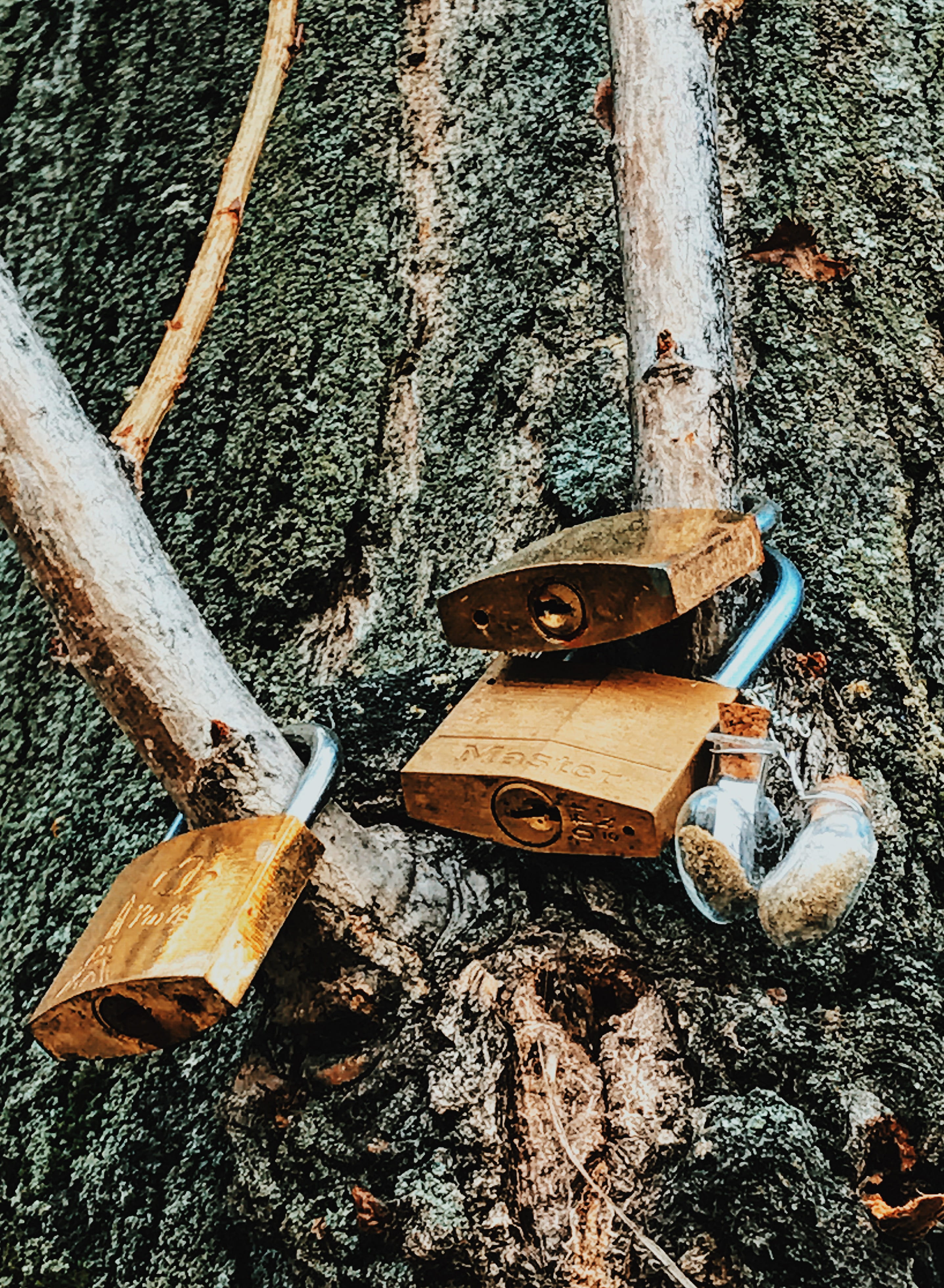 old, no people, tree trunk, environment, abandoned, 4K, wood - material, bark, tree, hand tool, outdoors, trunk, still life, wood, day, nature, padlocks, Phone HD Wallpaper