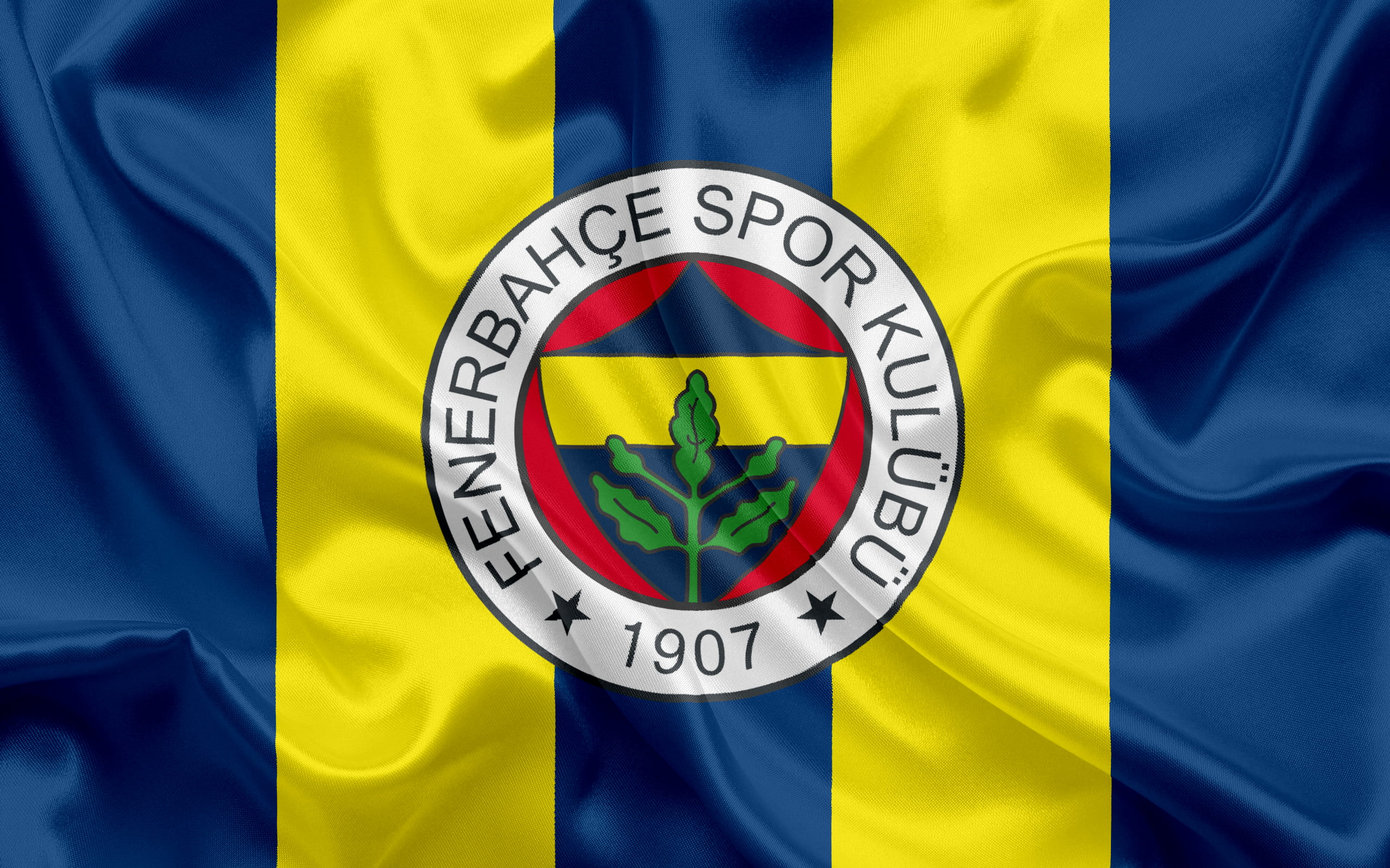Emblem, Soccer, Logo, 2K, Fenerbahçe S.K., HD Wallpaper