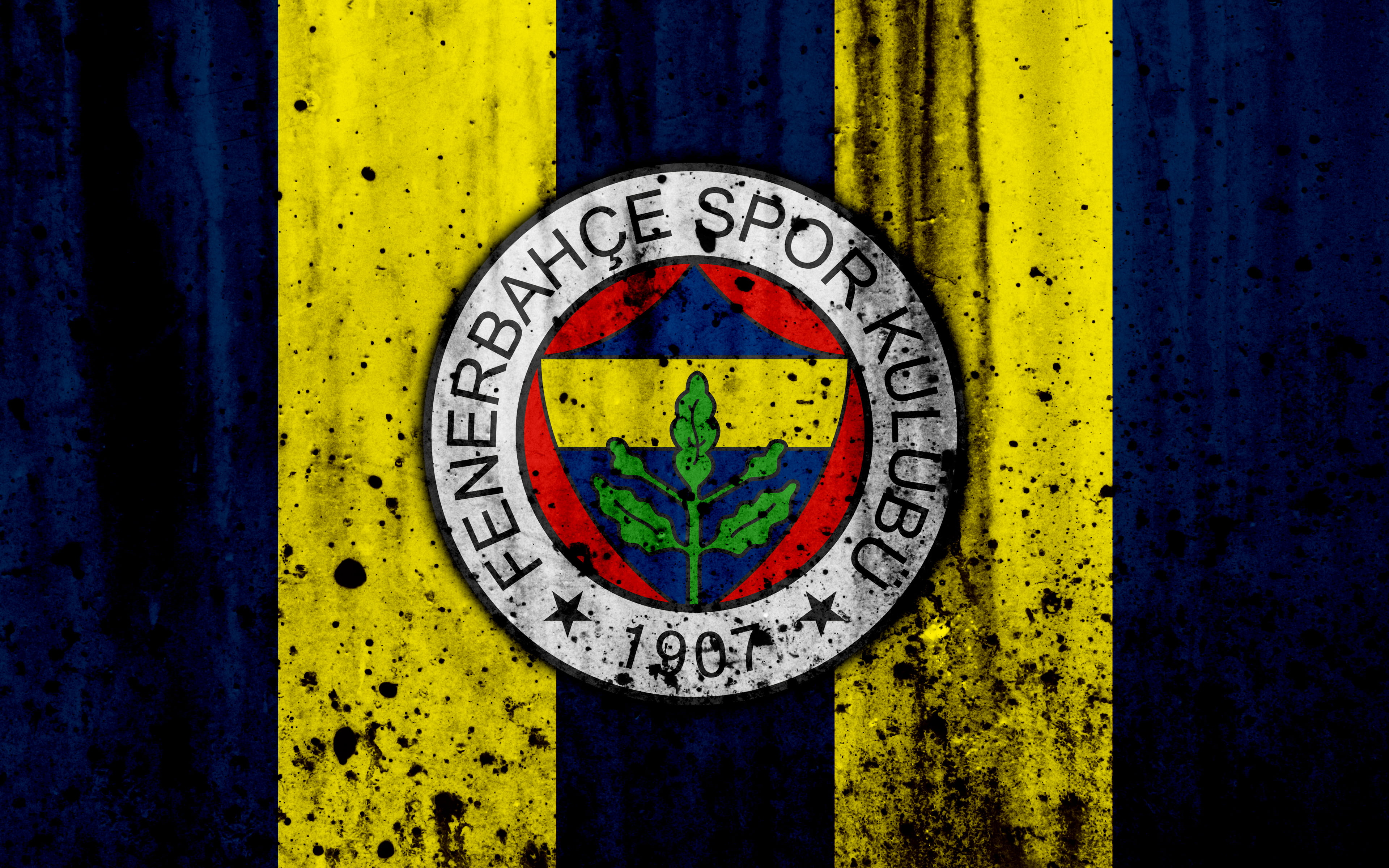 4K, Logo, Emblem, Soccer, Fenerbahçe S.K., HD Wallpaper