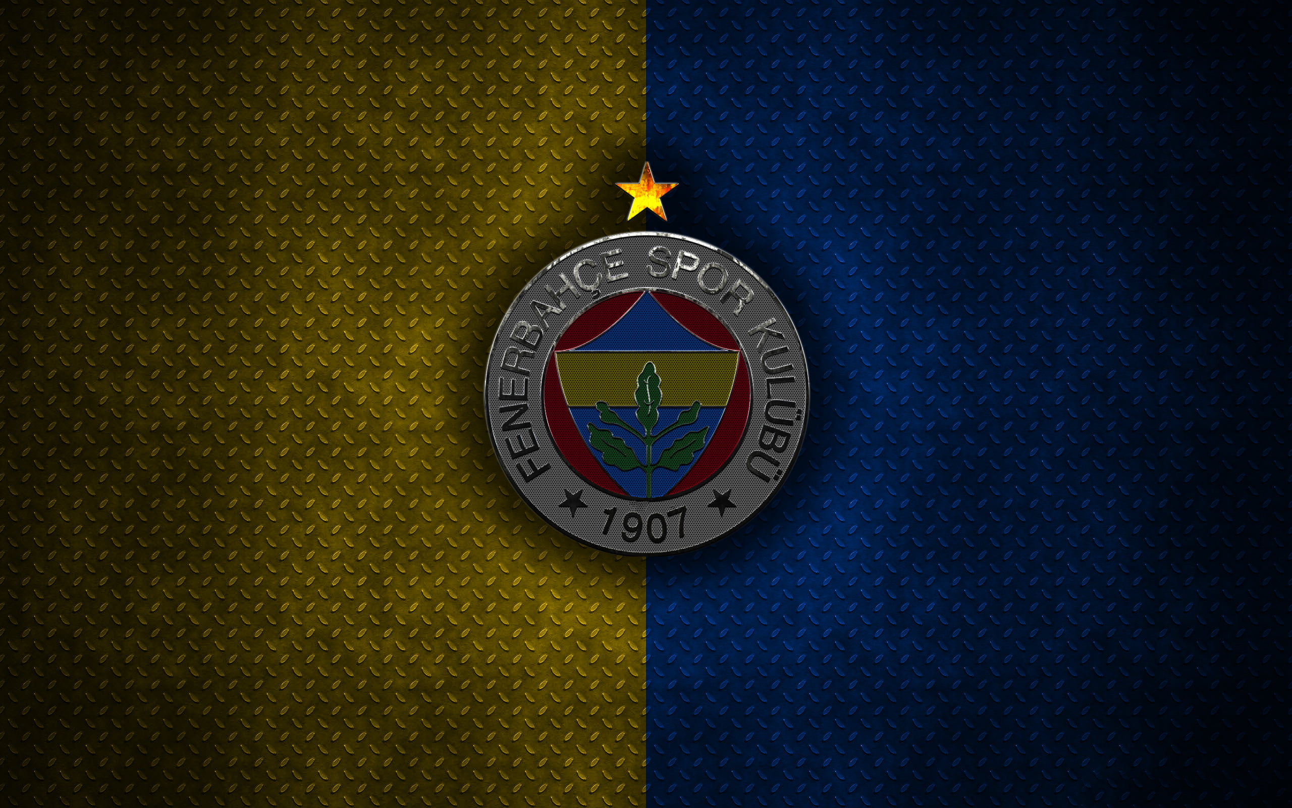 Soccer, Emblem, Logo, Fenerbahçe S.K., 2K, HD Wallpaper