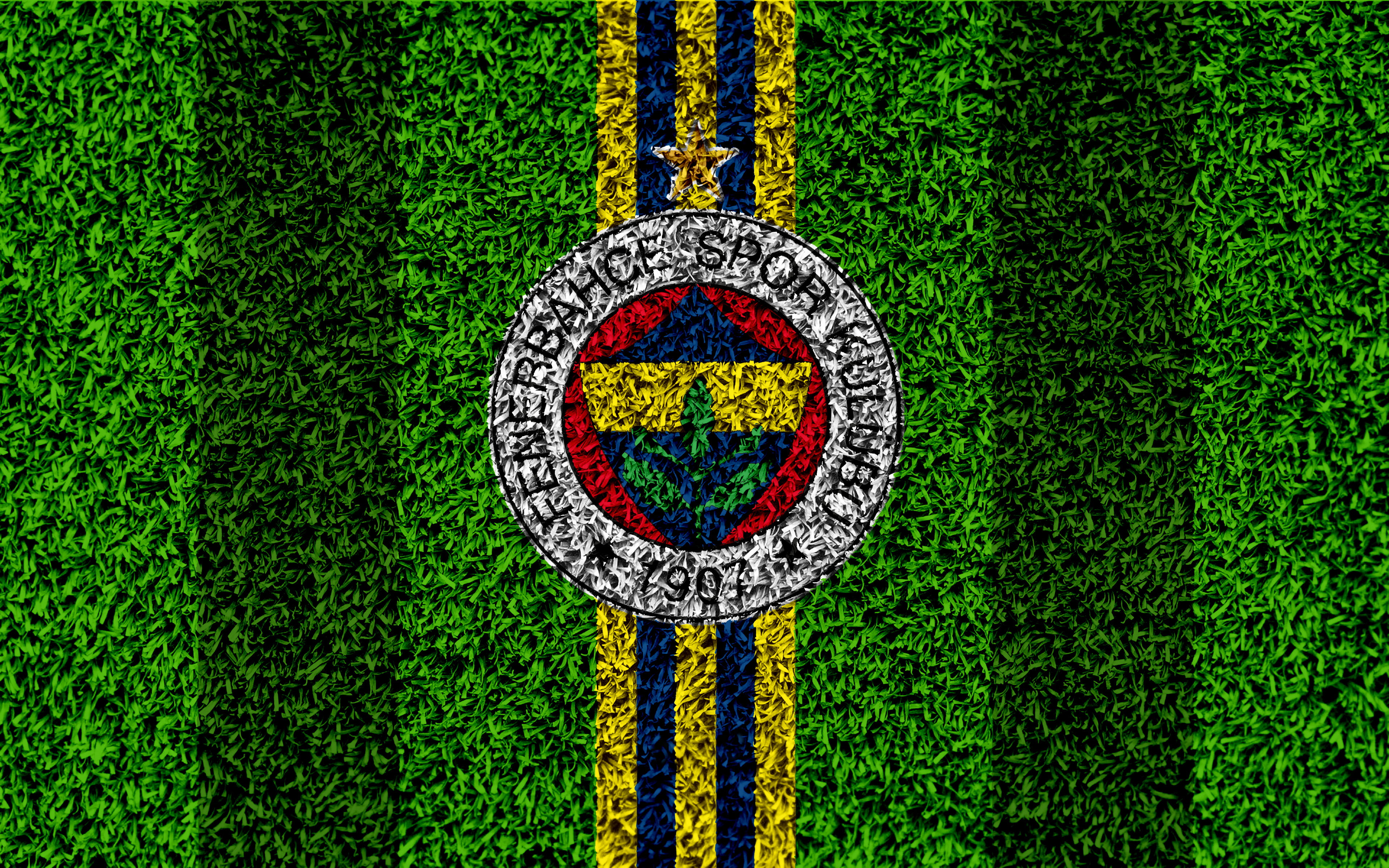 Emblem, Soccer, 4K, Logo, Fenerbahçe S.K., HD Wallpaper