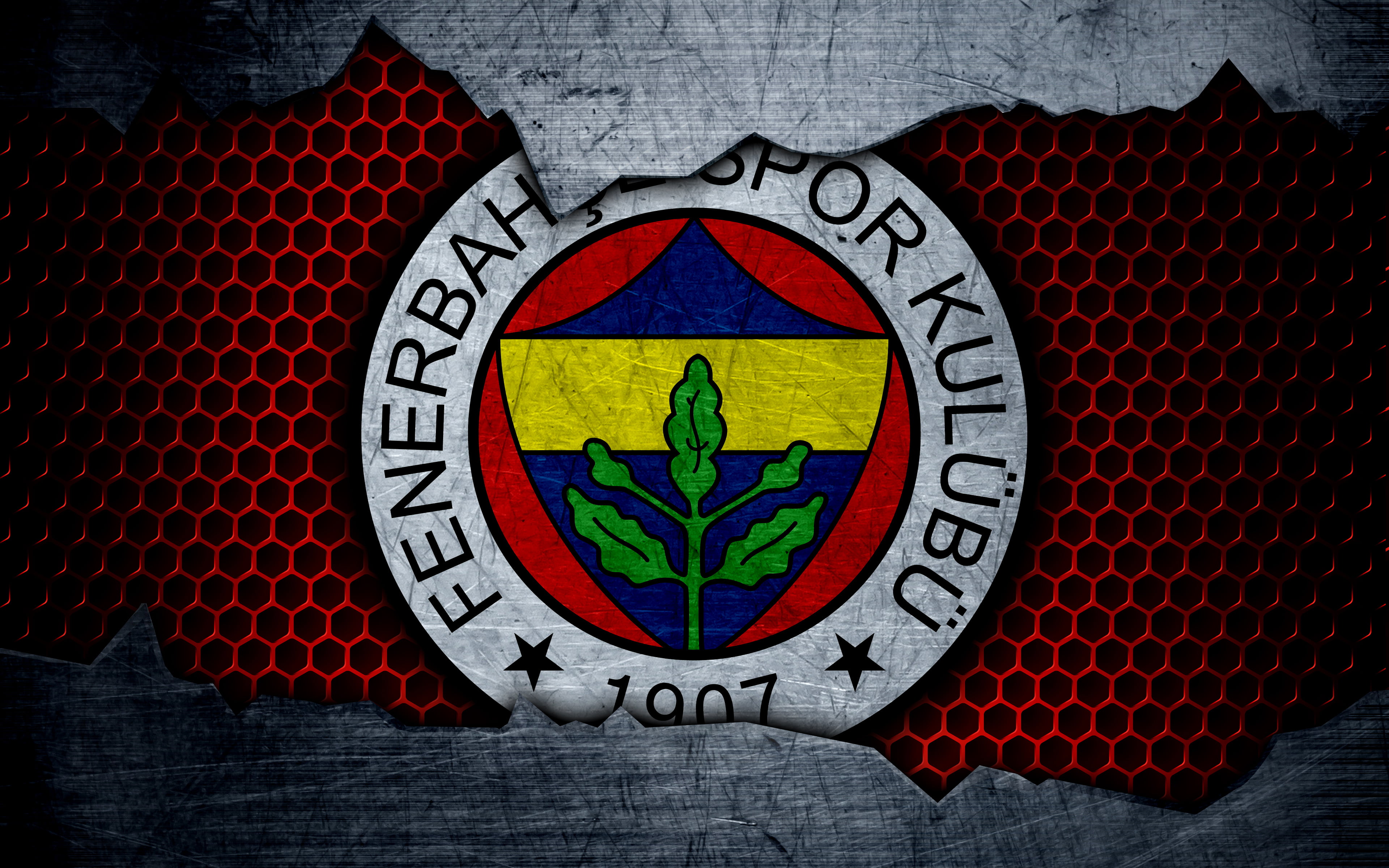 Fenerbahçe S.K., 4K, Logo, Soccer, Emblem, HD Wallpaper